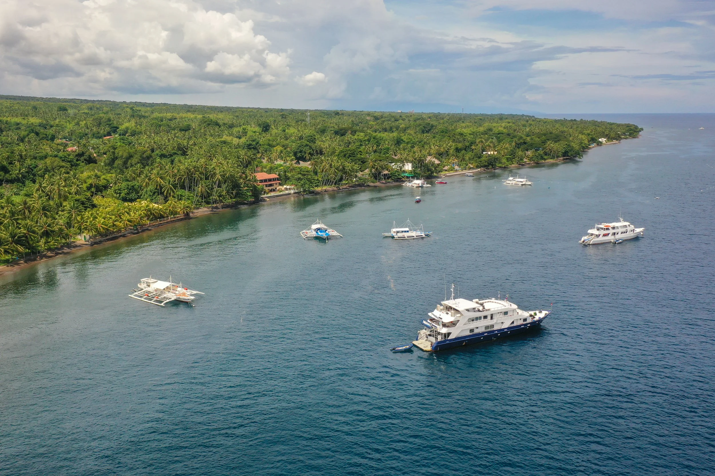 DJI_0733.jpg