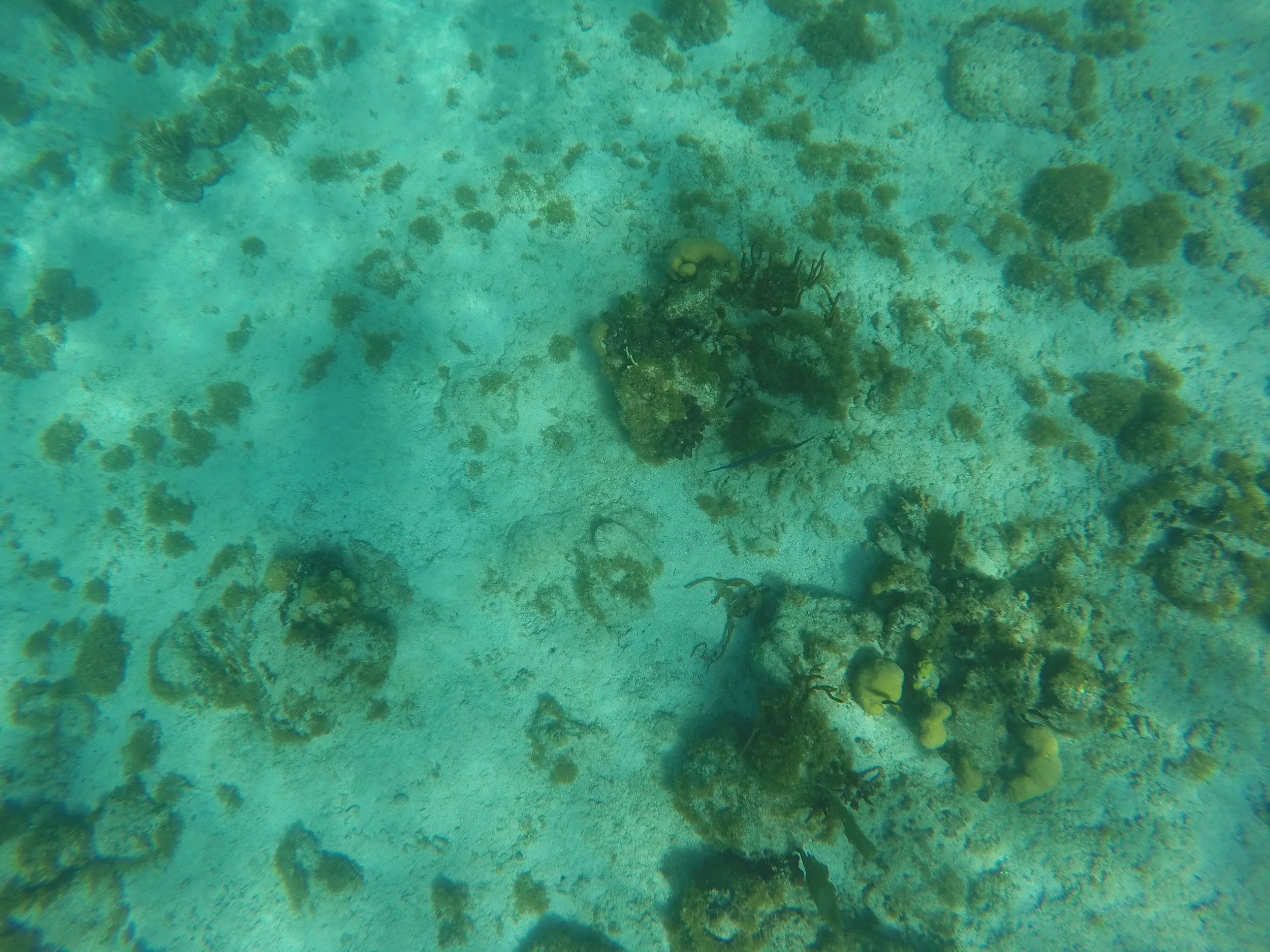 GOPR1219.JPG