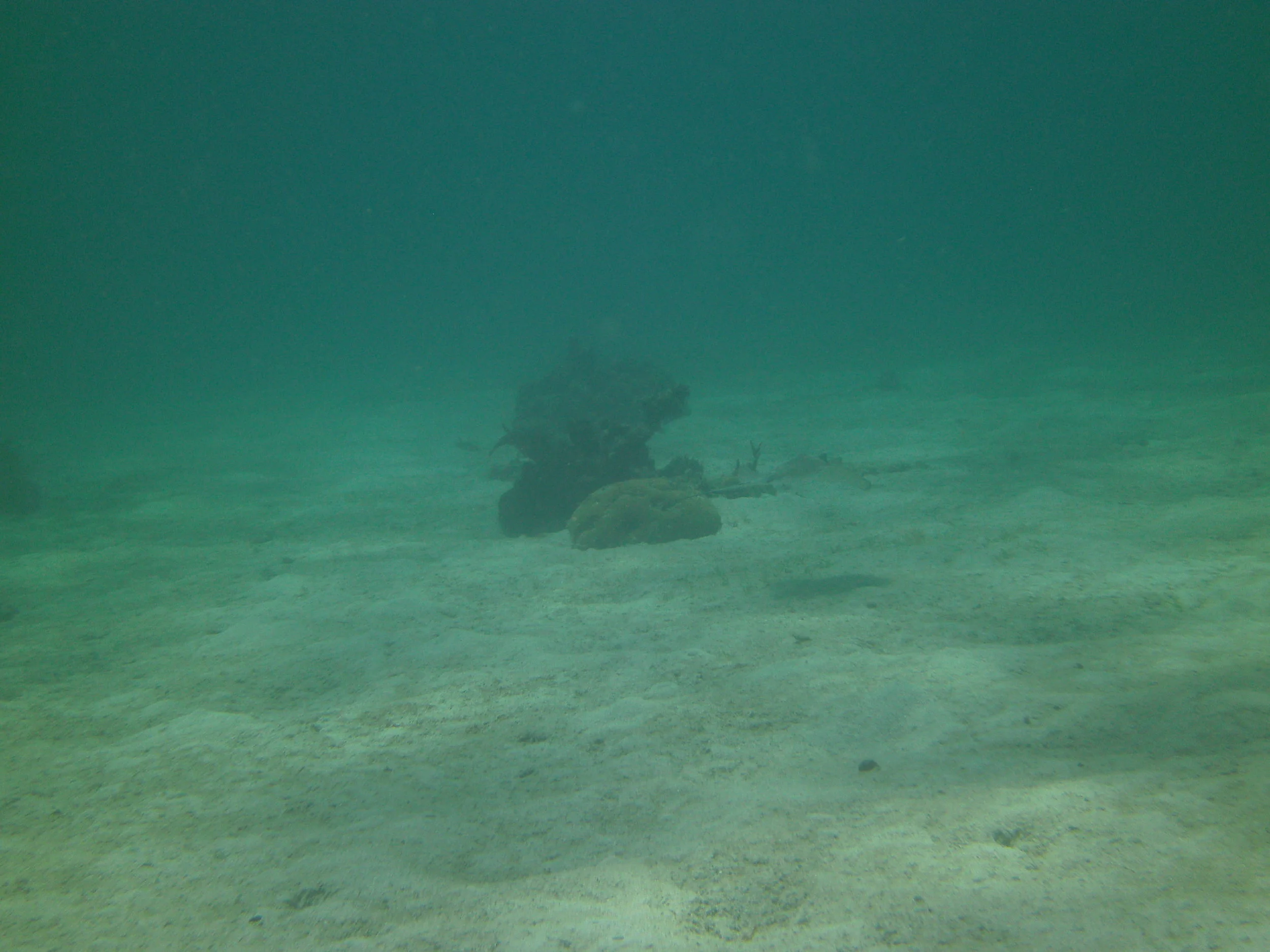 PICT0005.JPG
