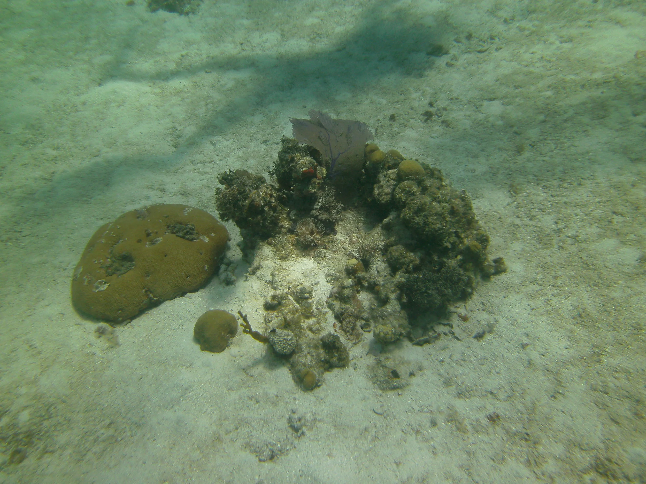 PICT0007.JPG