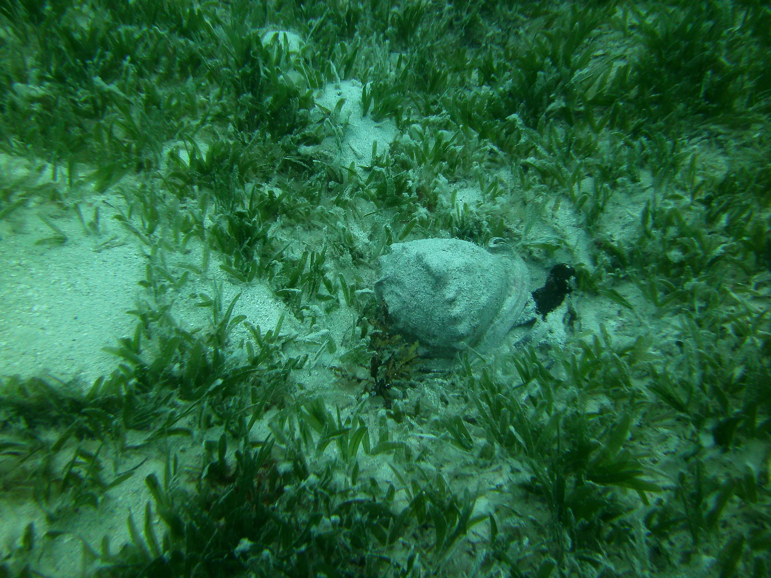 PICT0010.JPG