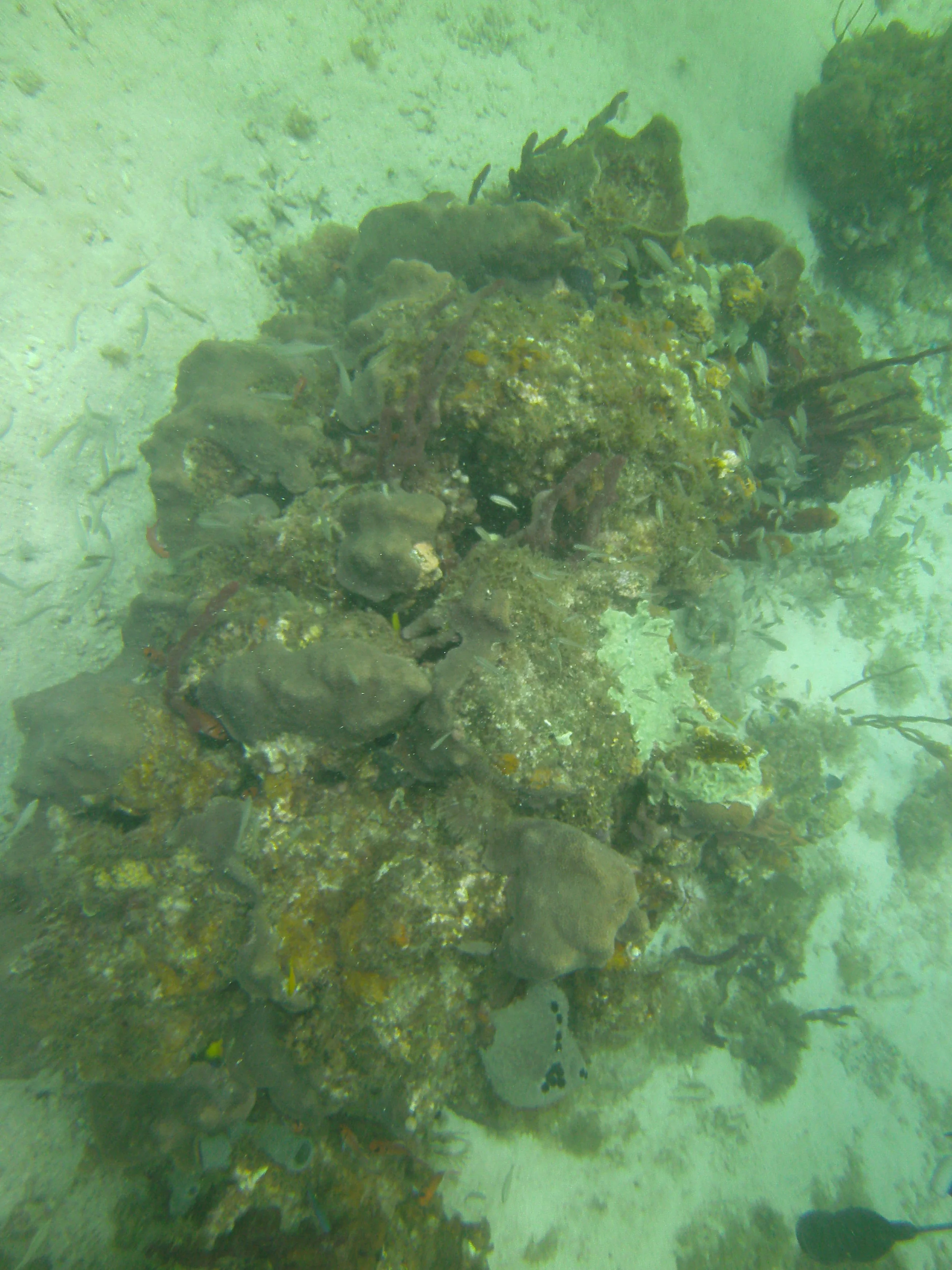 PICT0048.JPG