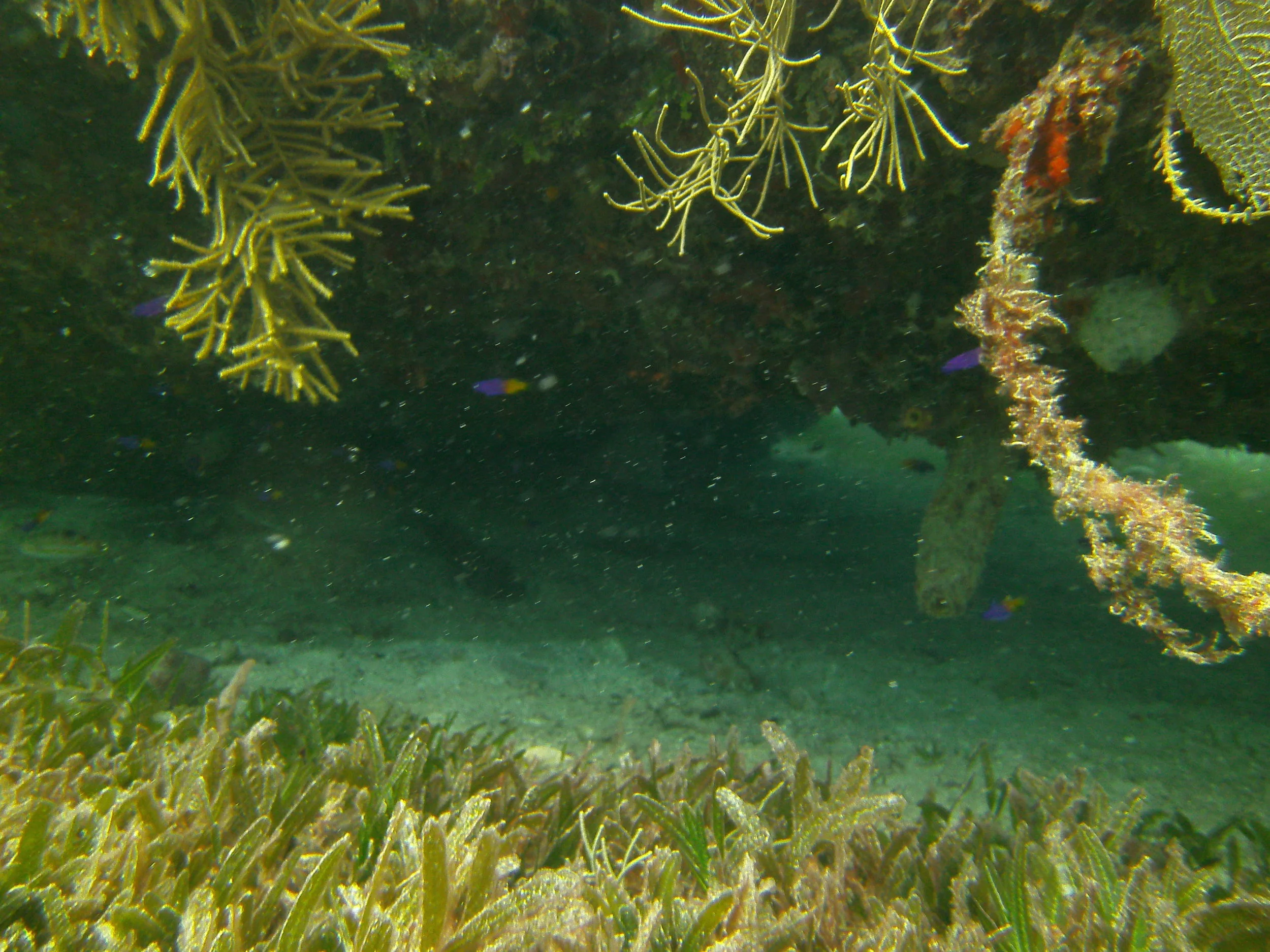 PICT0063.JPG