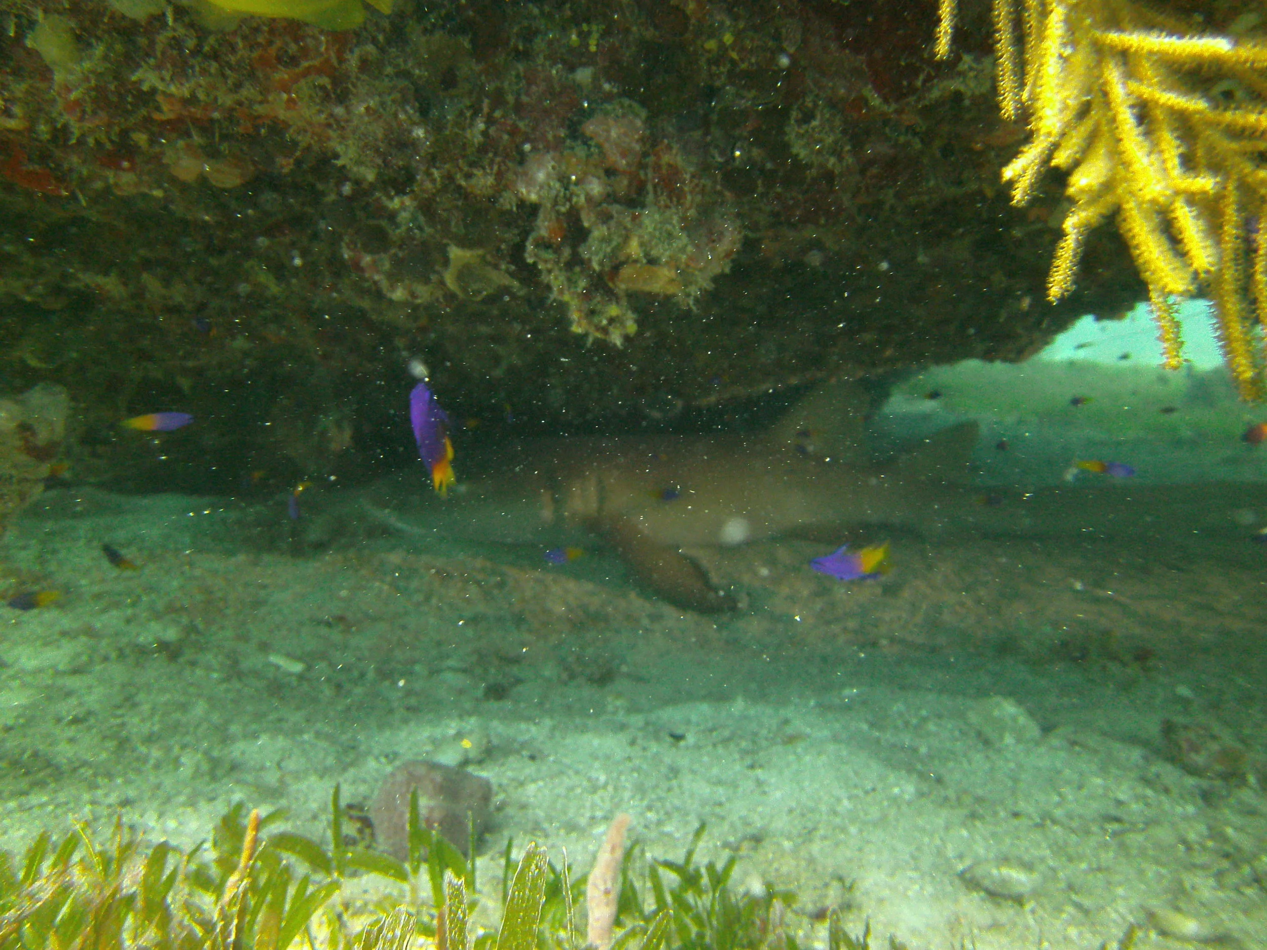 PICT0064.JPG