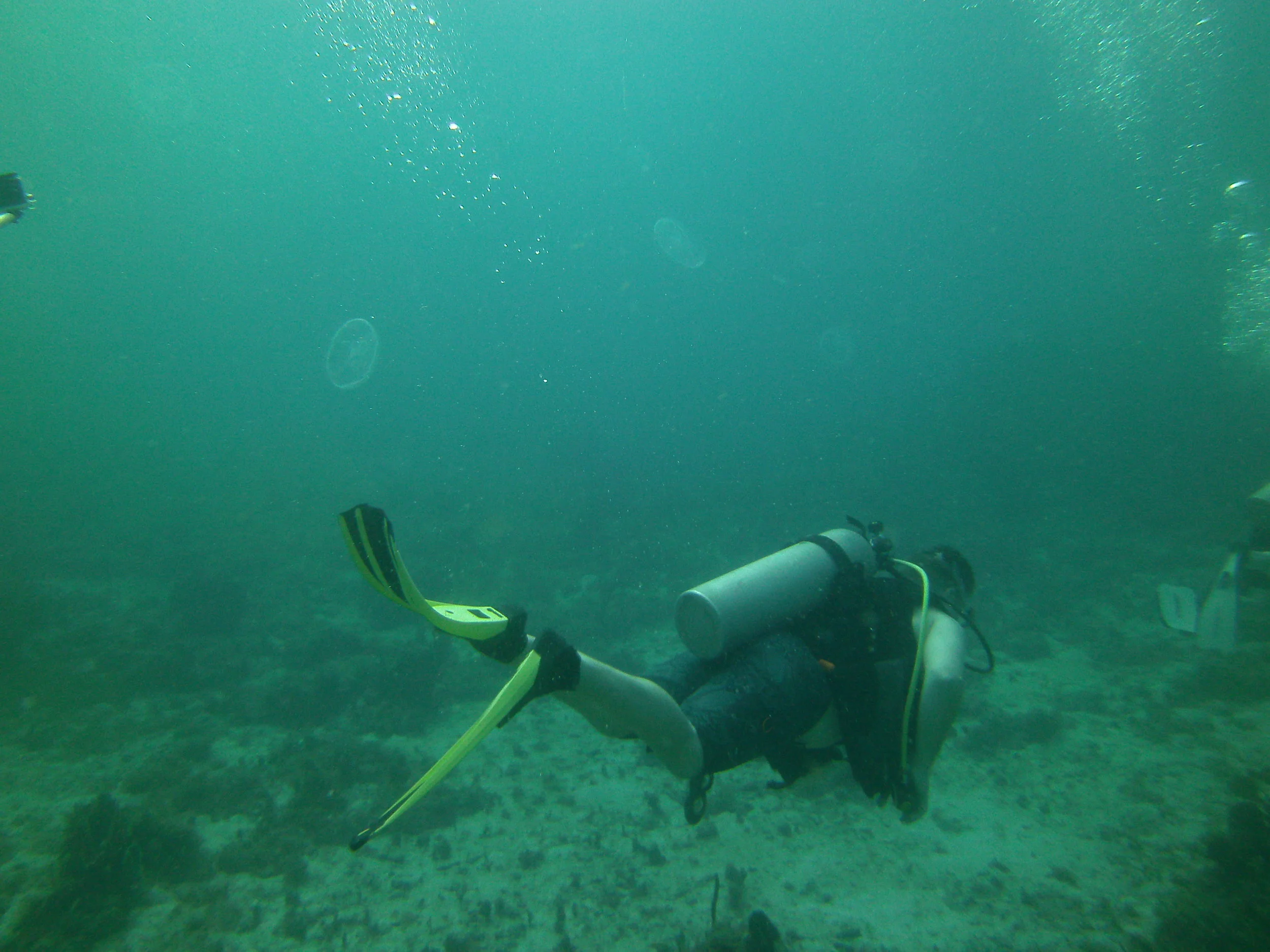 PICT0095.JPG