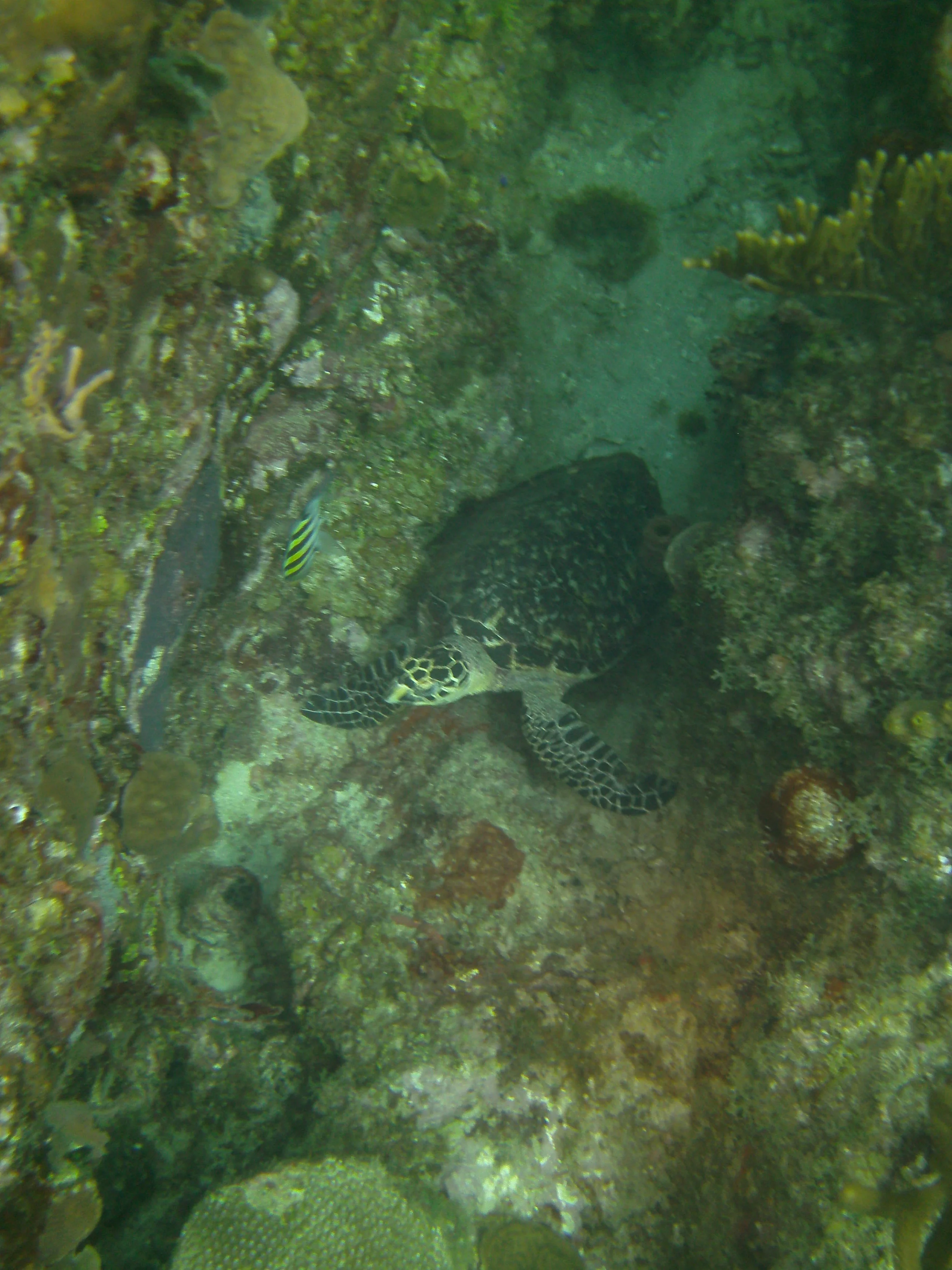 PICT0108.JPG