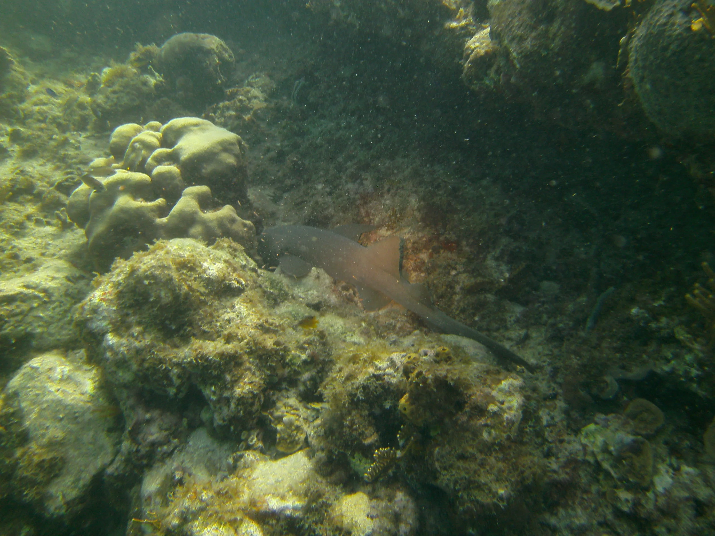 PICT0111.JPG
