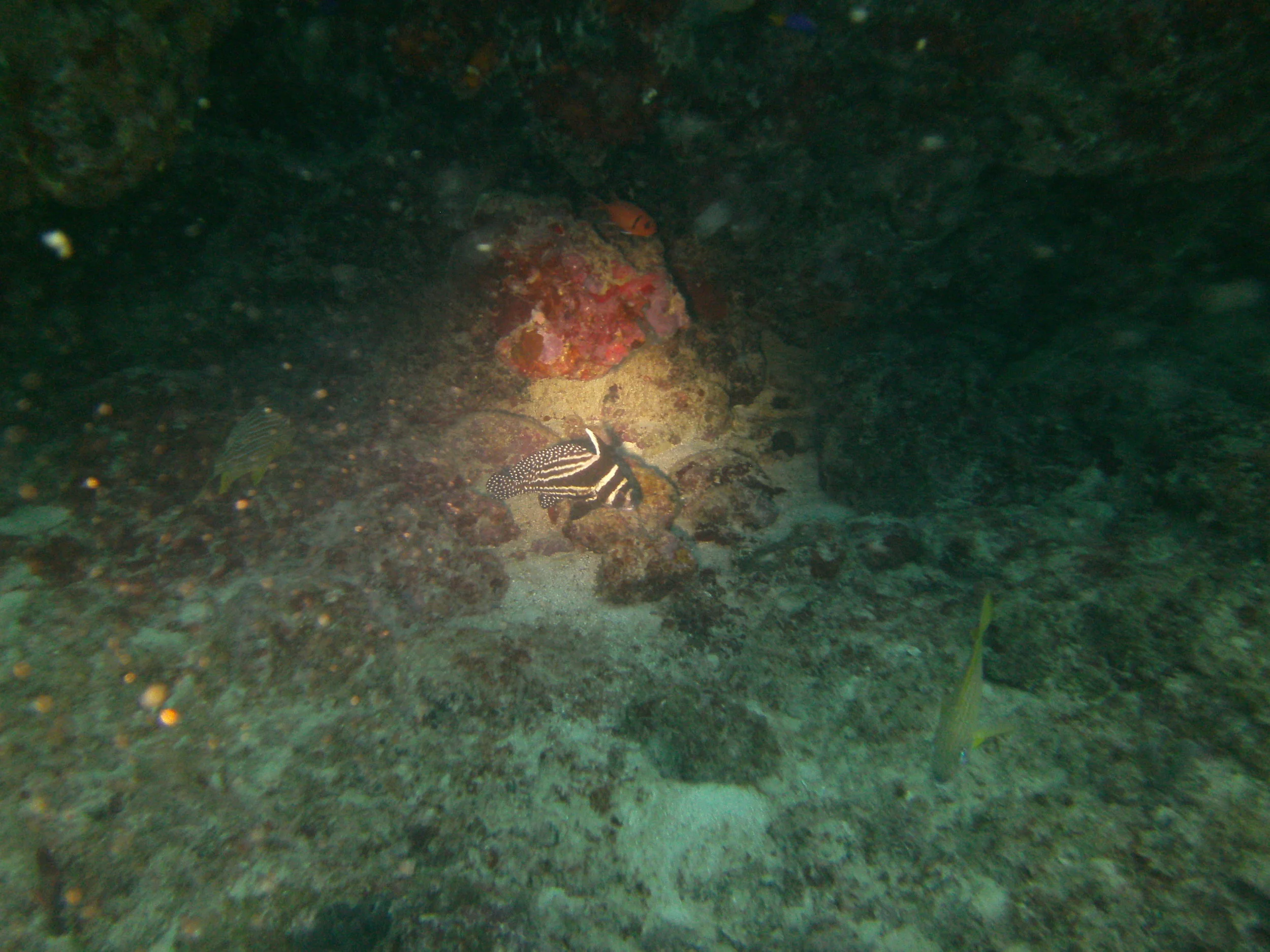 PICT0110.JPG