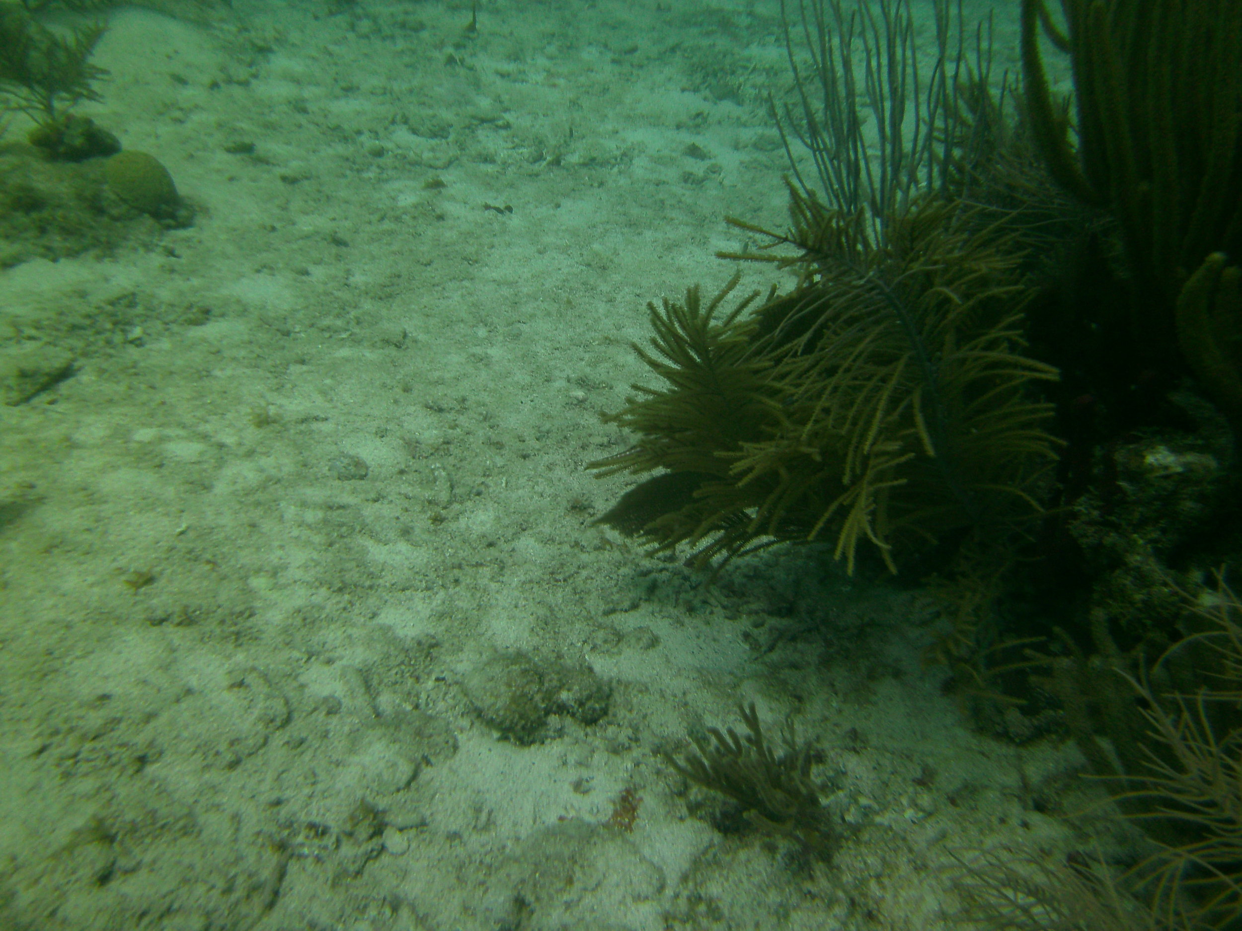 PICT0117.JPG