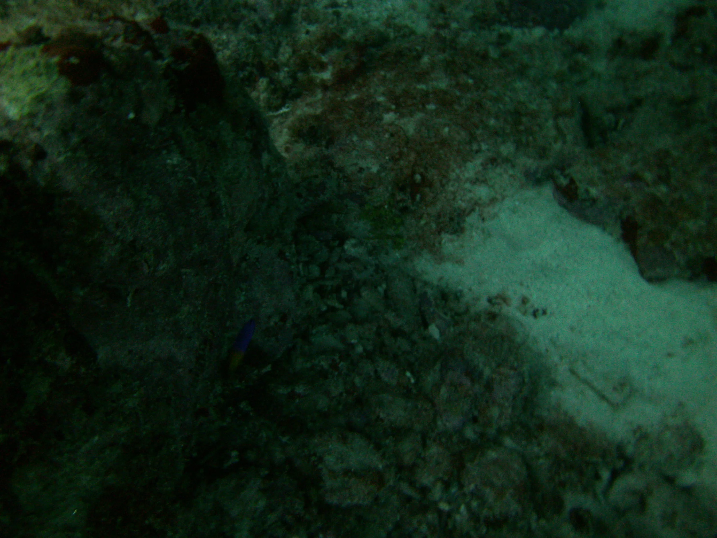PICT0118.JPG