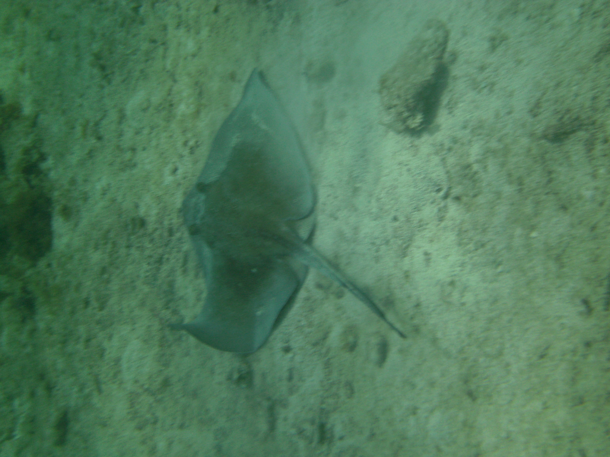 PICT0126.JPG