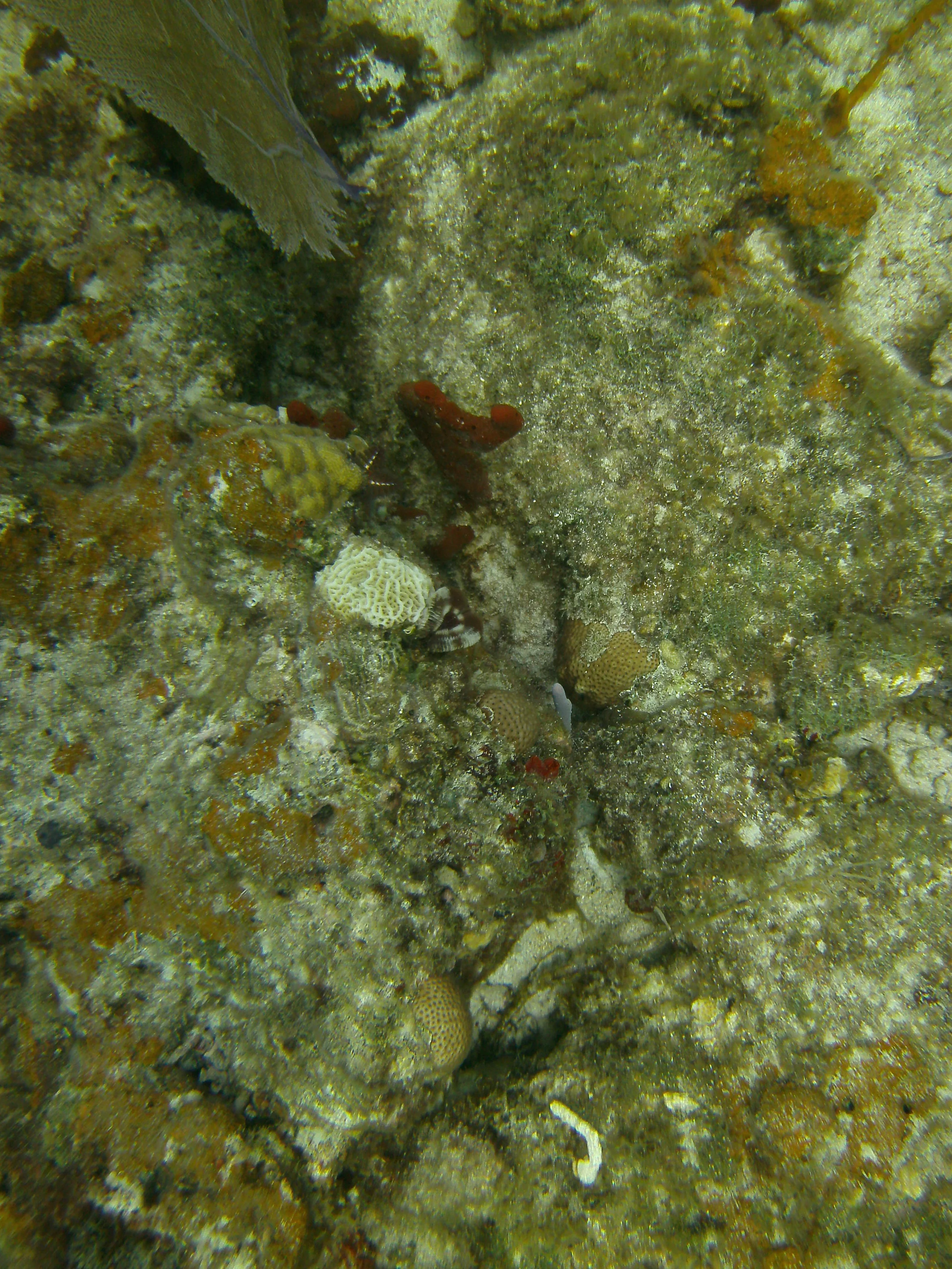 PICT0130.JPG