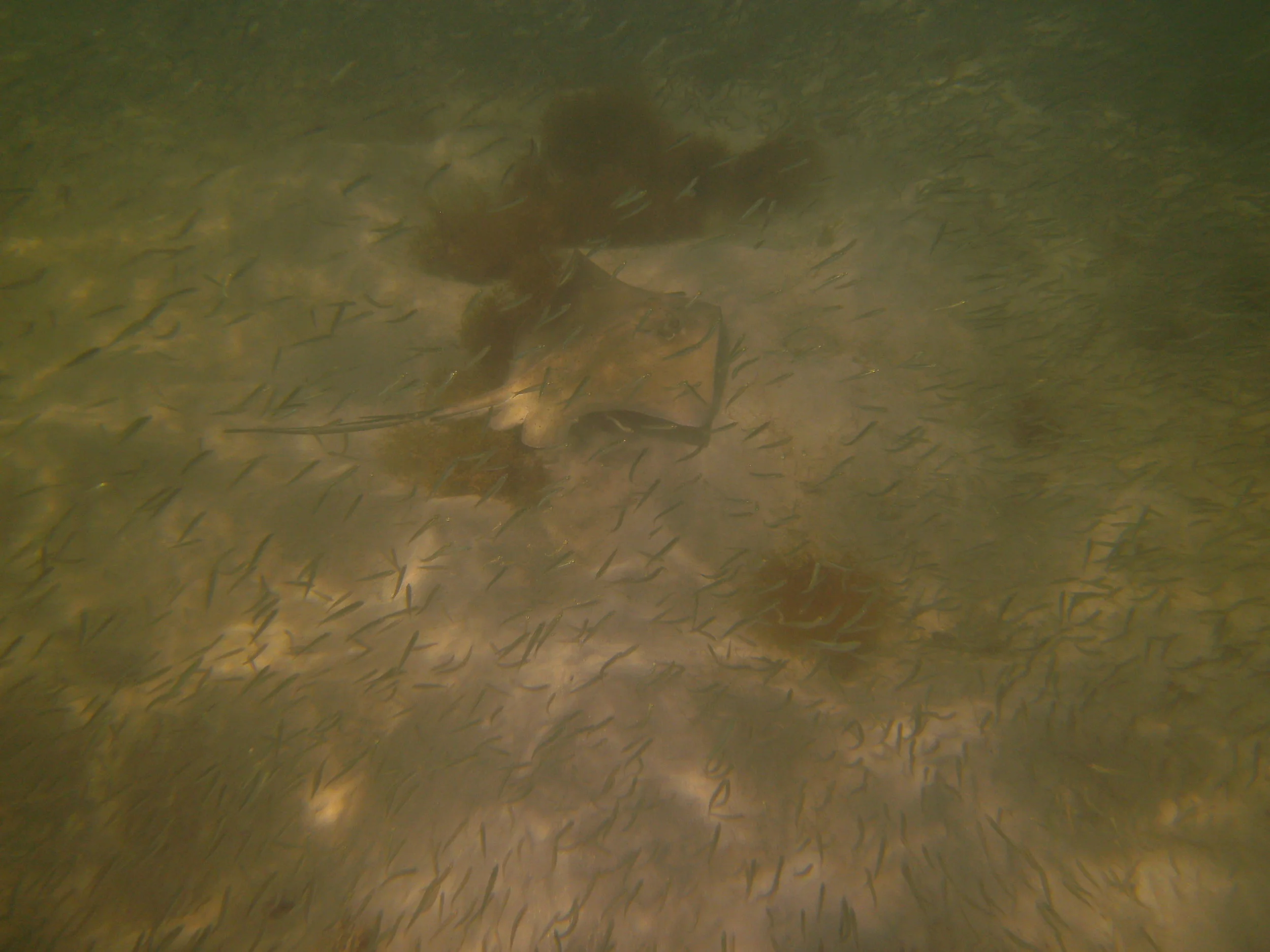 PICT0155.JPG