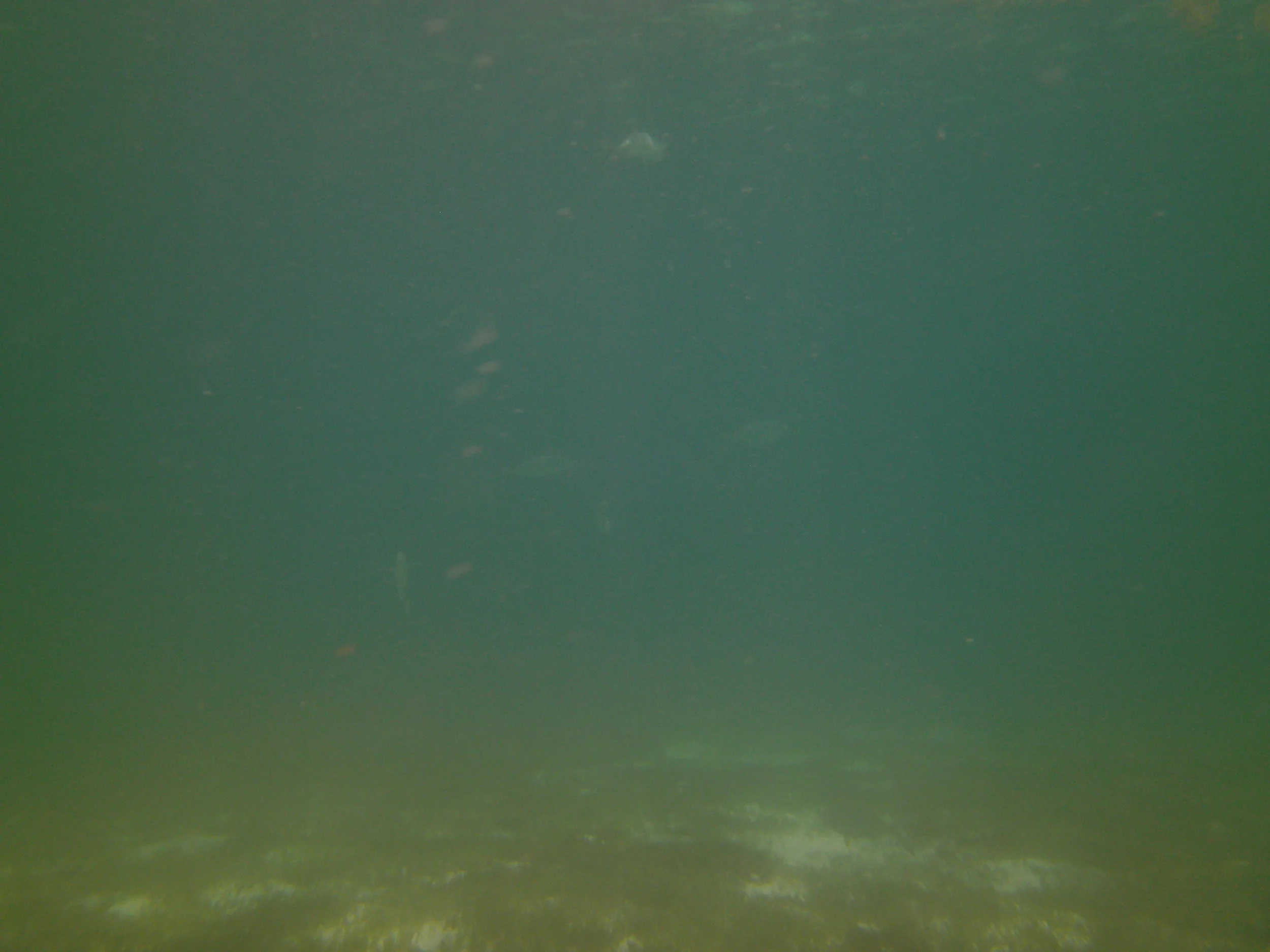 PICT0167.JPG