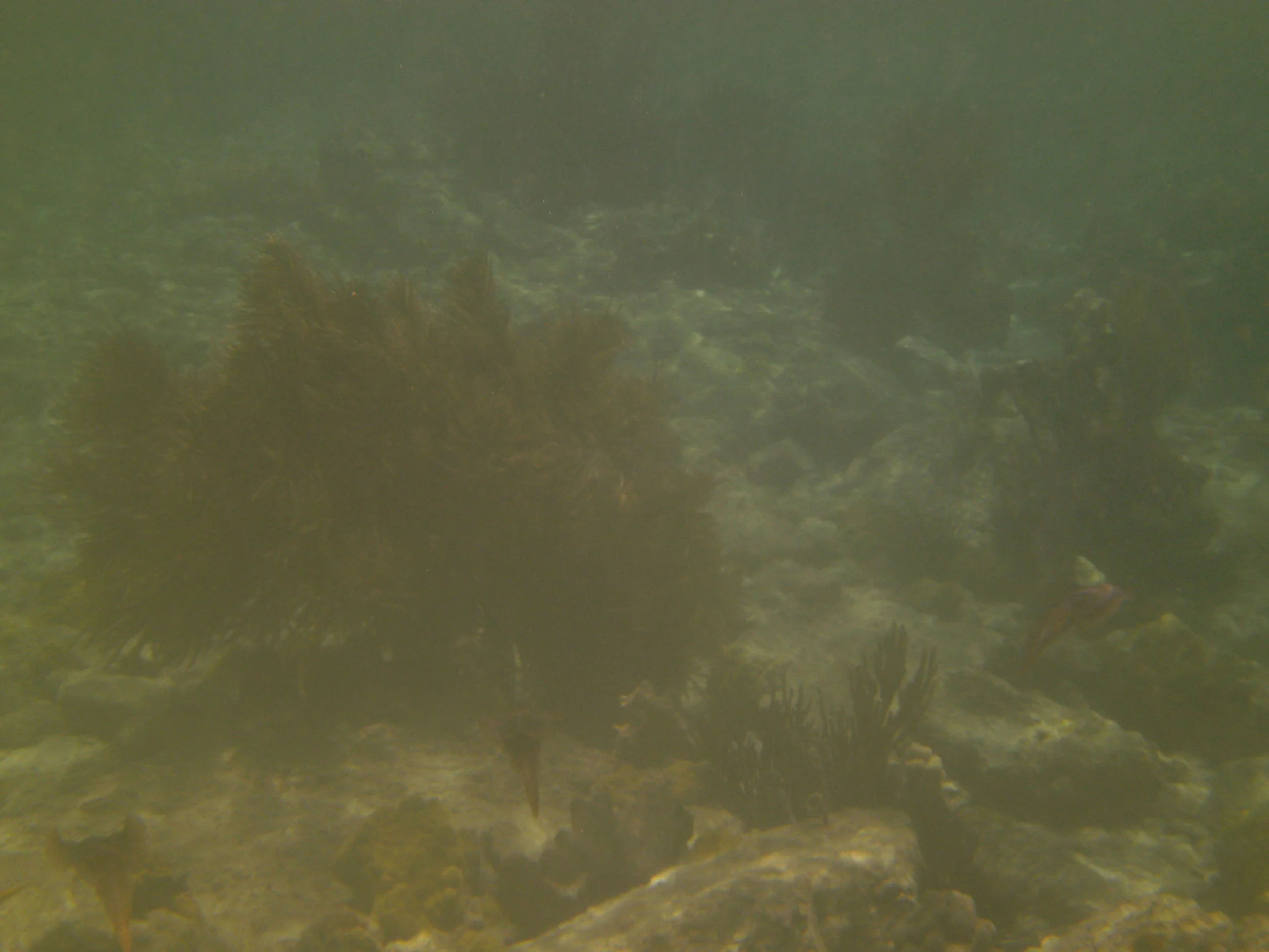 PICT0176.JPG