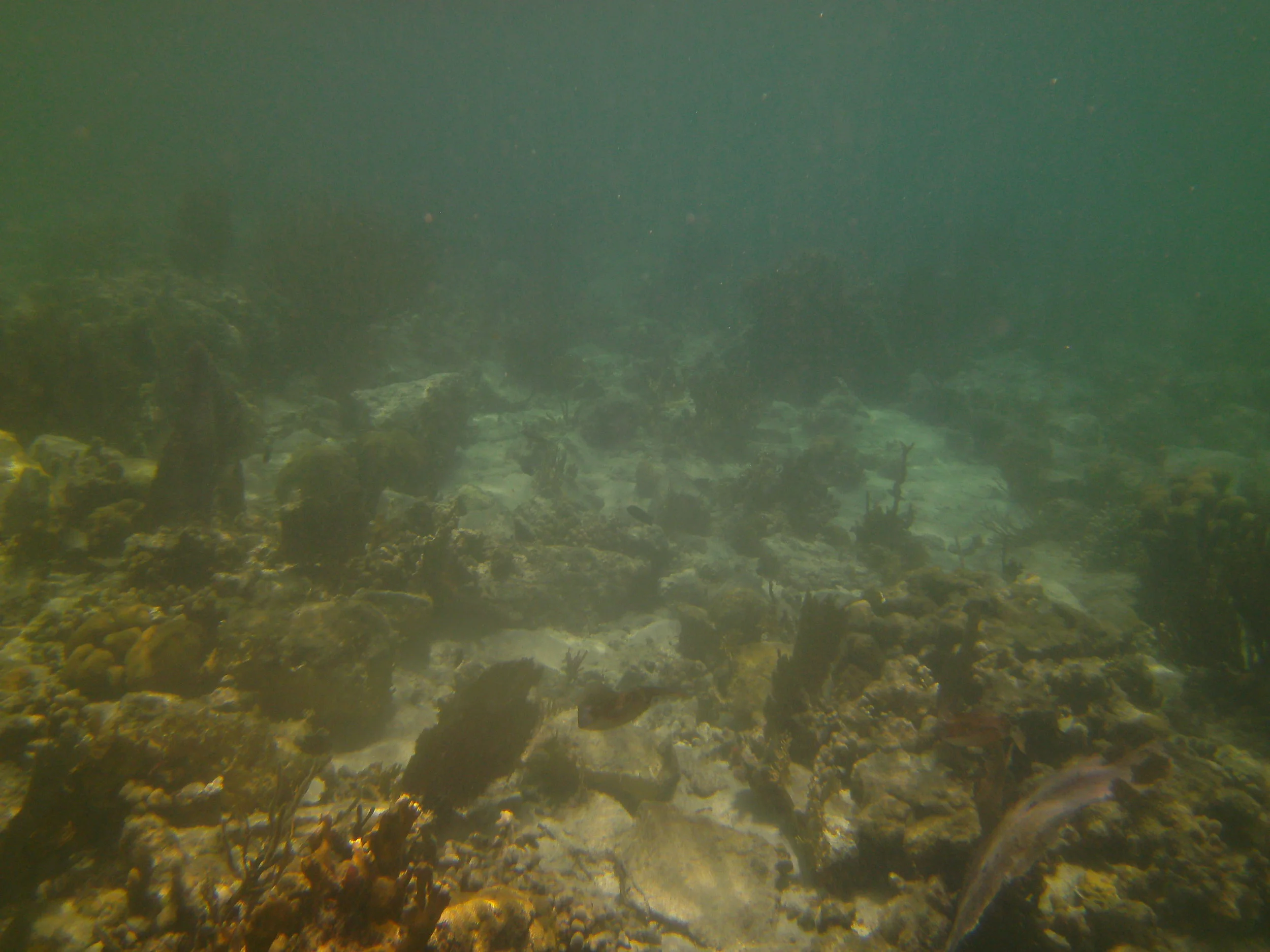 PICT0177.JPG