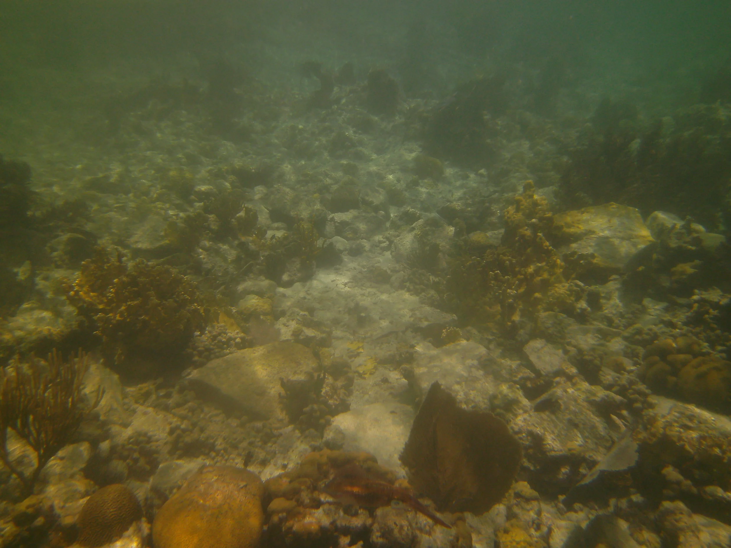 PICT0178.JPG