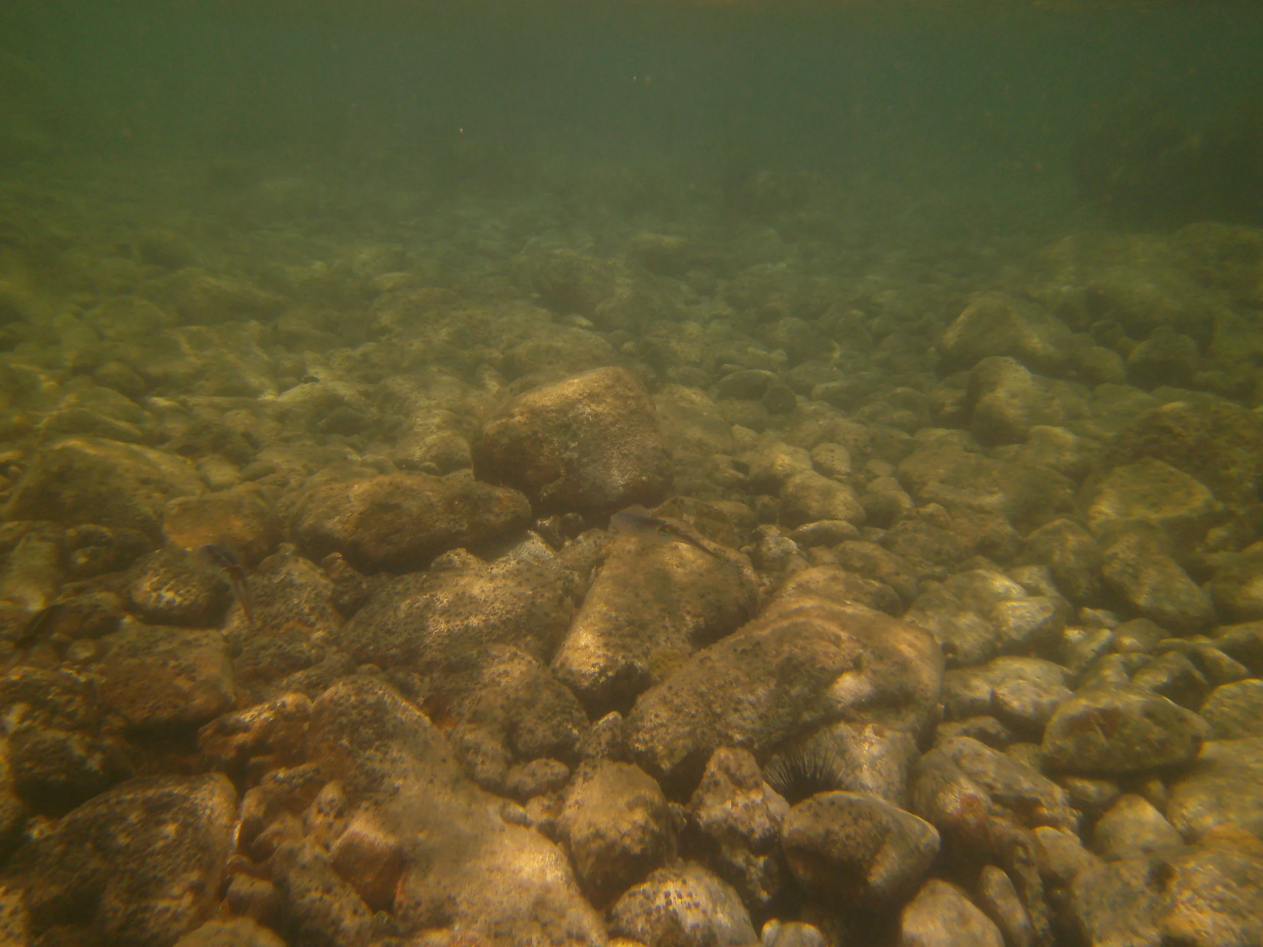 PICT0200.JPG