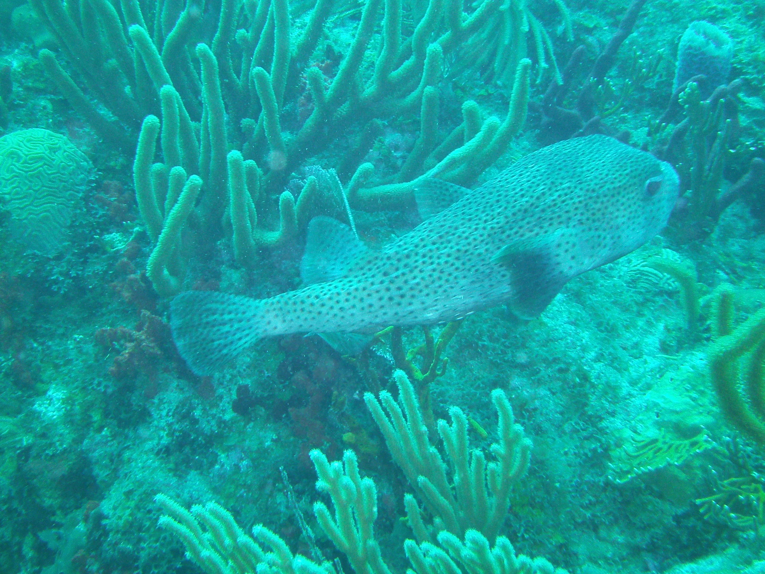 PICT0211.JPG