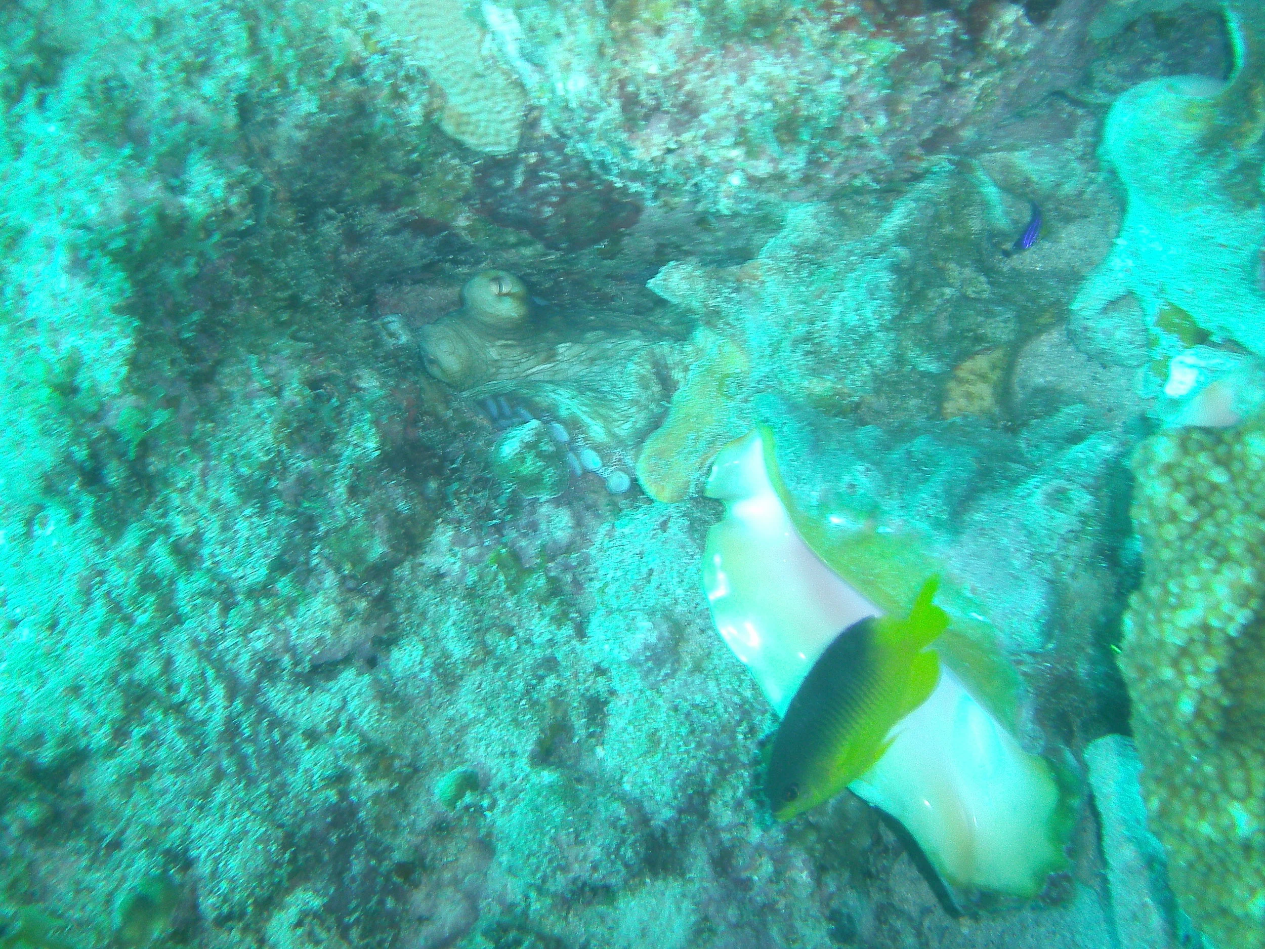 PICT0231.JPG