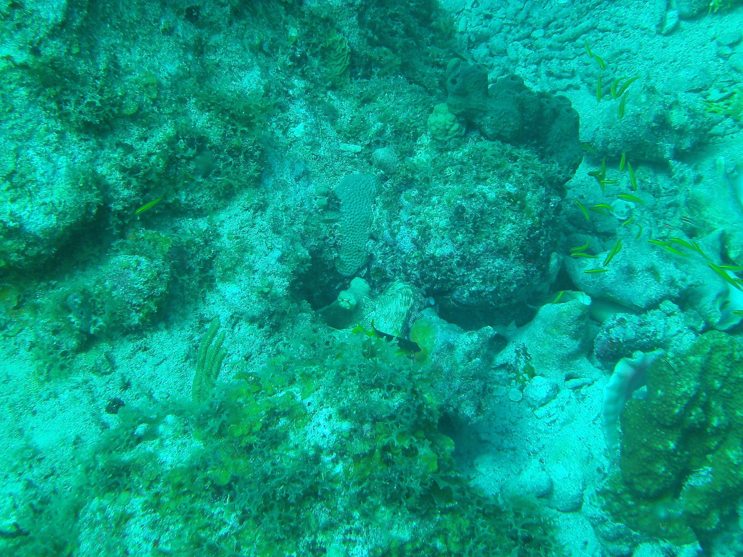 PICT0244.JPG