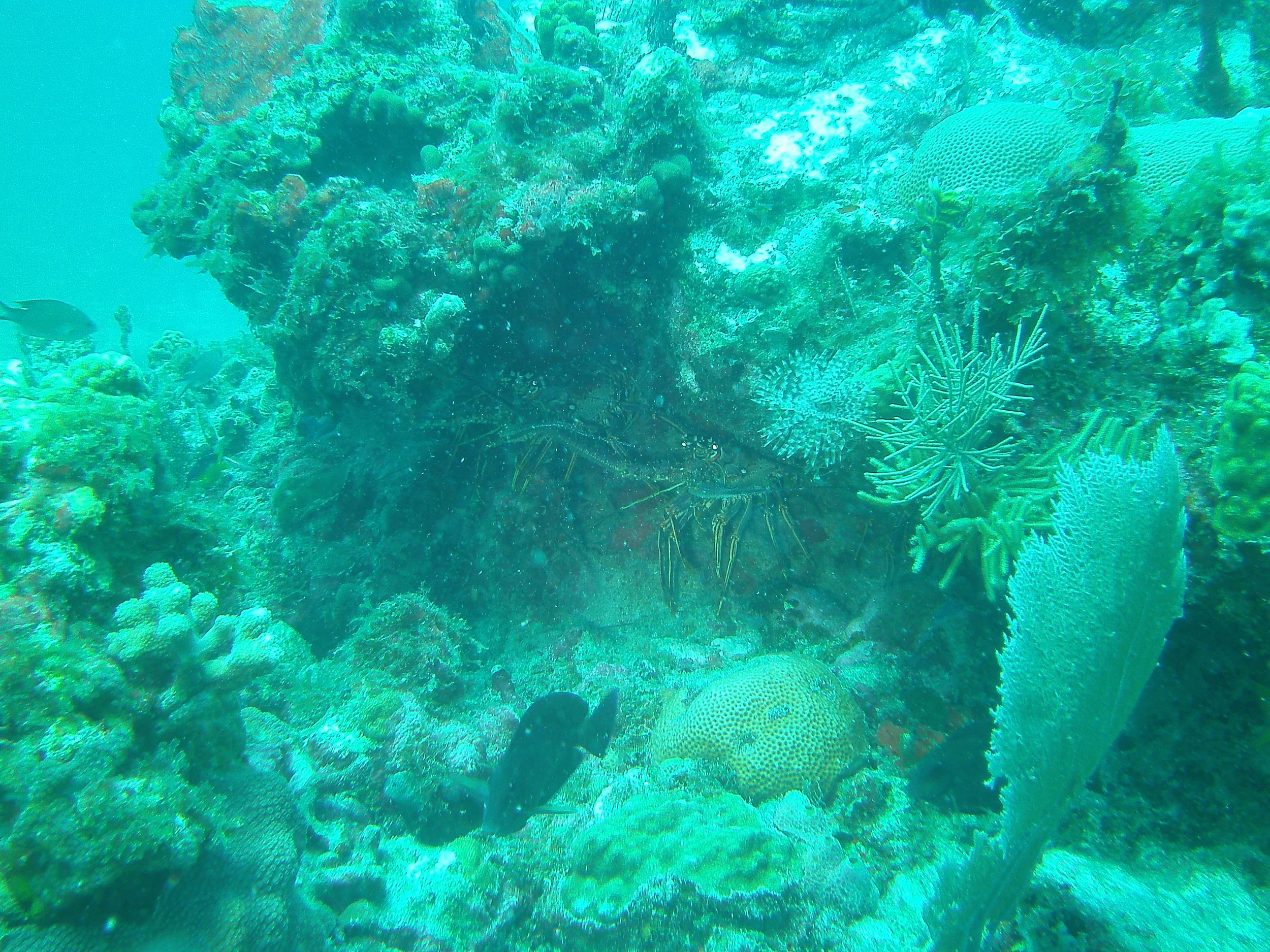 PICT0262.JPG