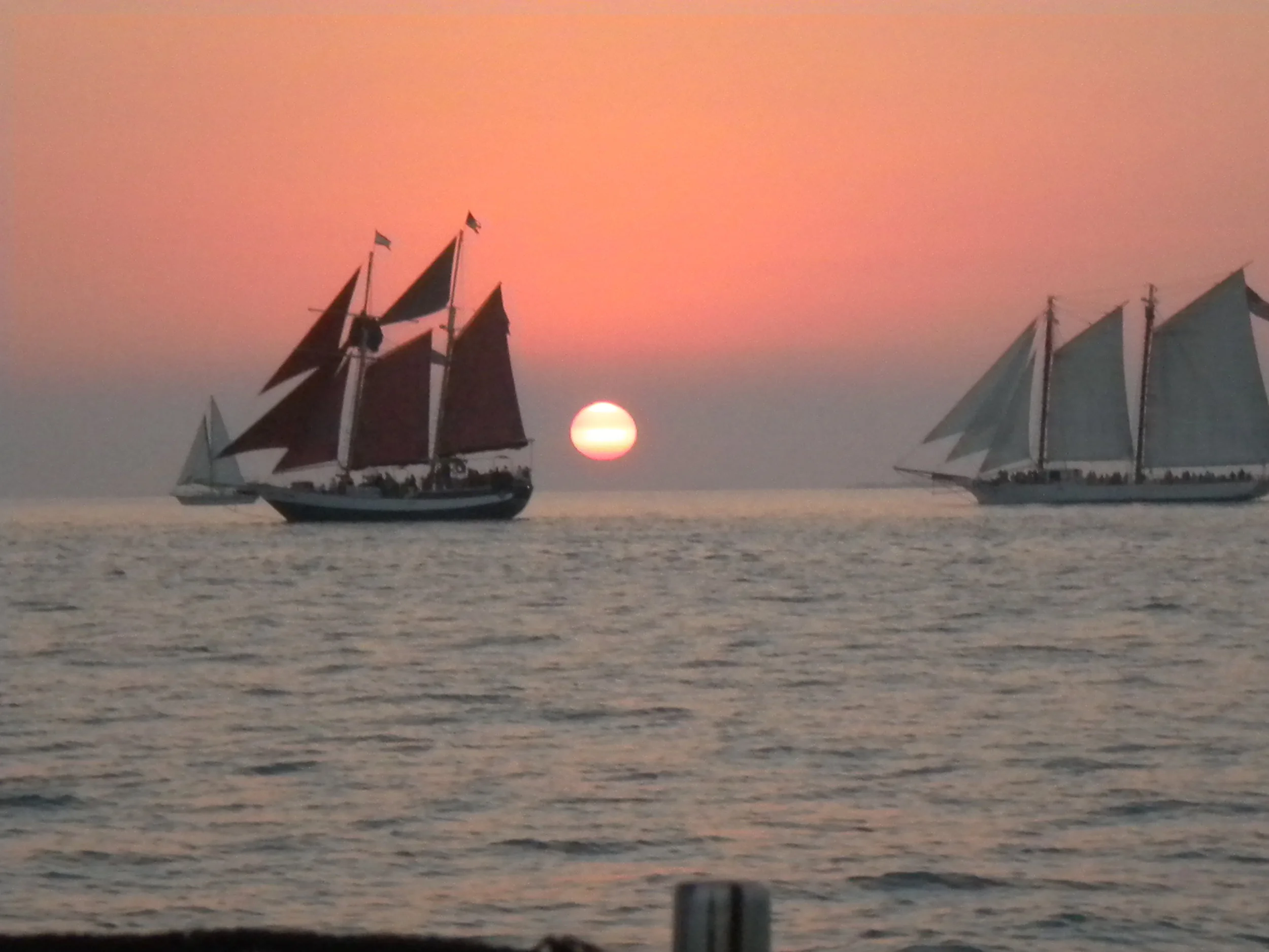 DSCN3022.JPG