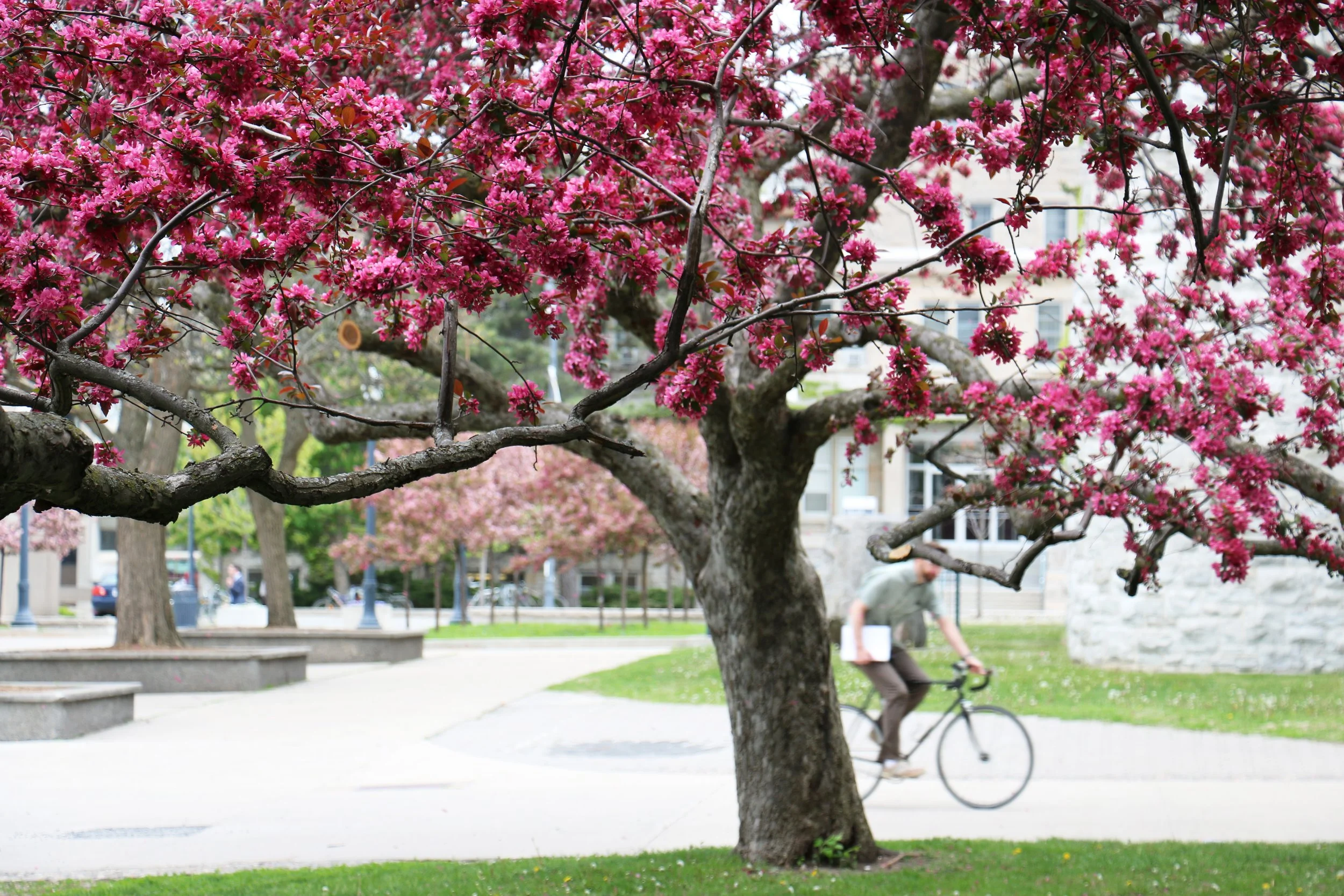 20150526 - Campus-Spring-Shots-15.jpg