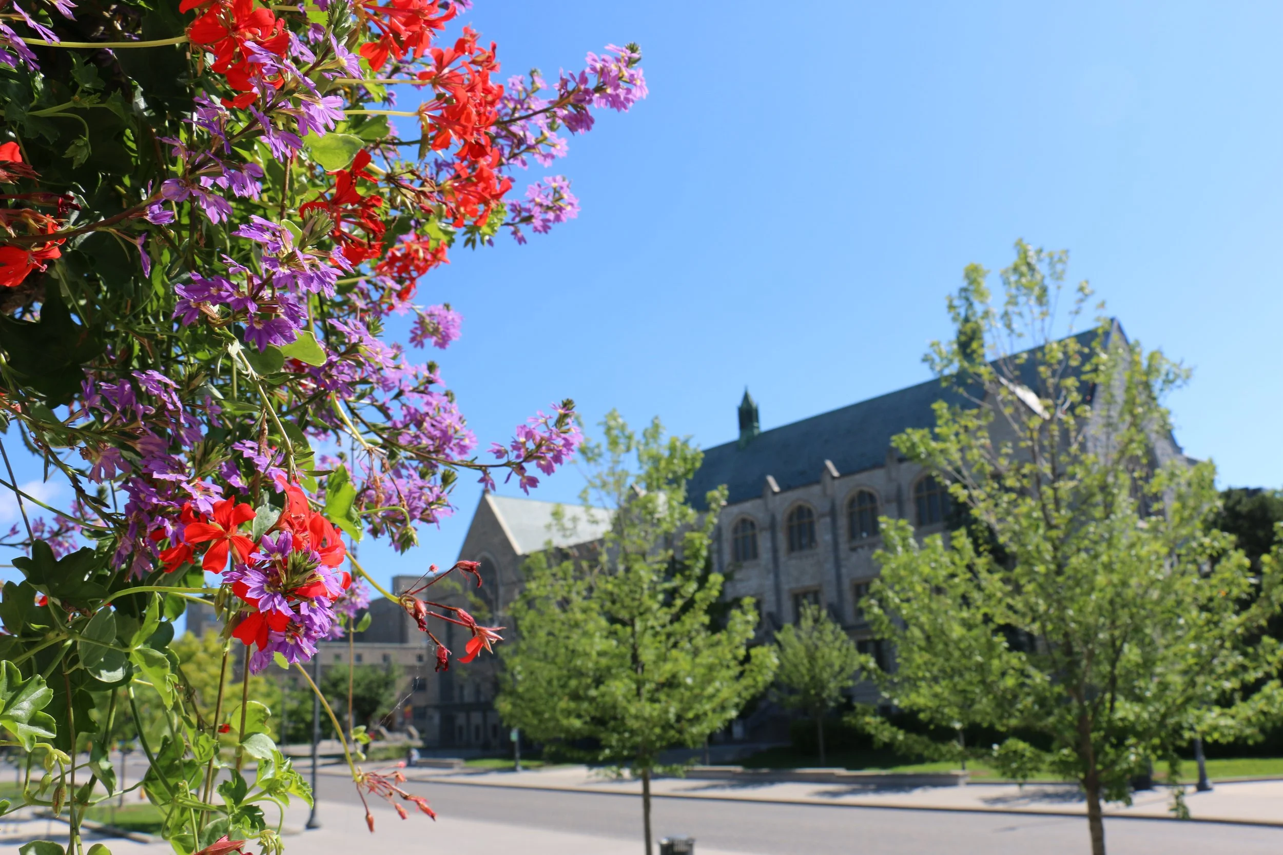 20150526 - Campus-Spring-Shots-41.JPG