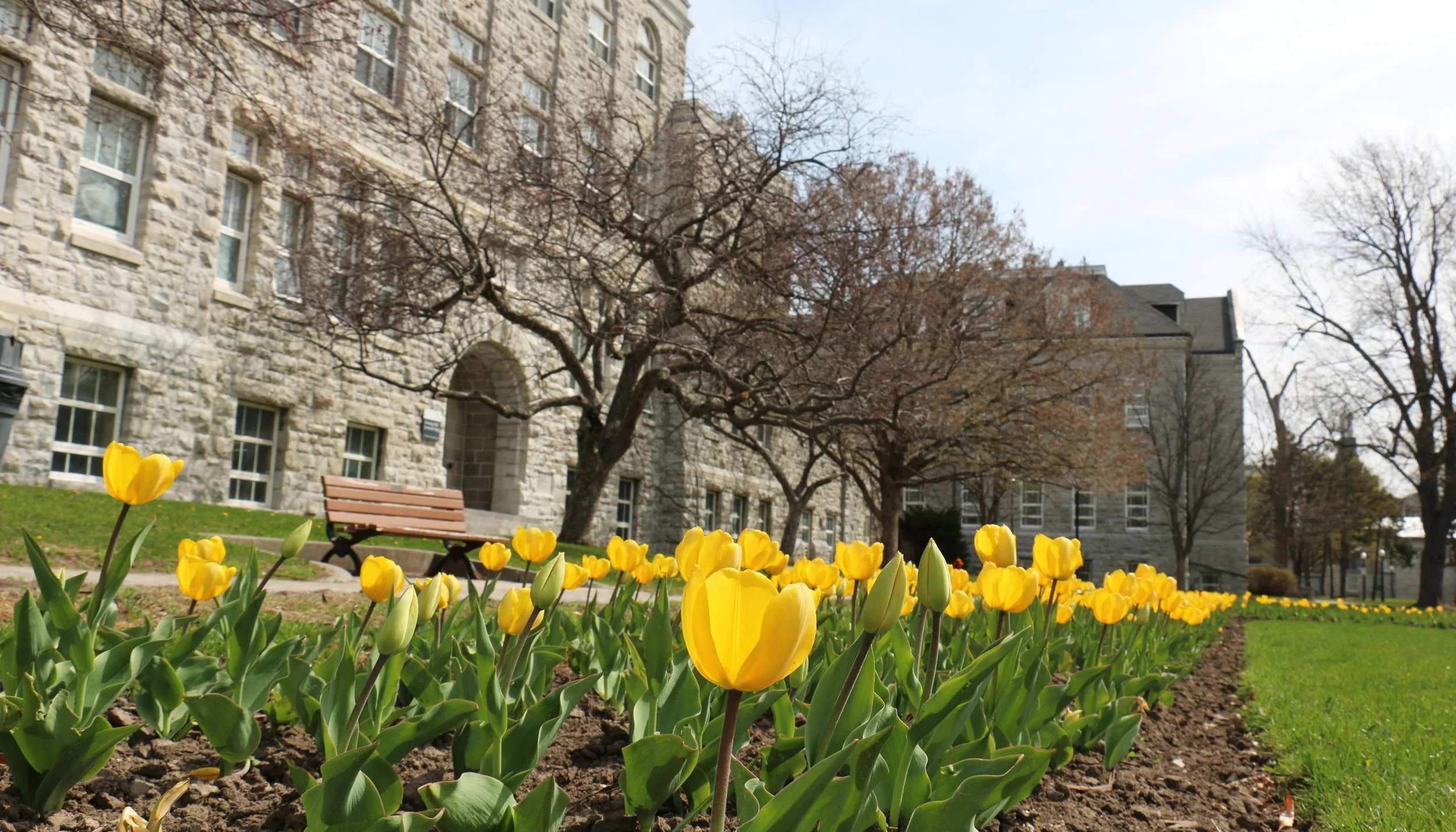 20150526 - Campus-Spring-Shots-1.jpg