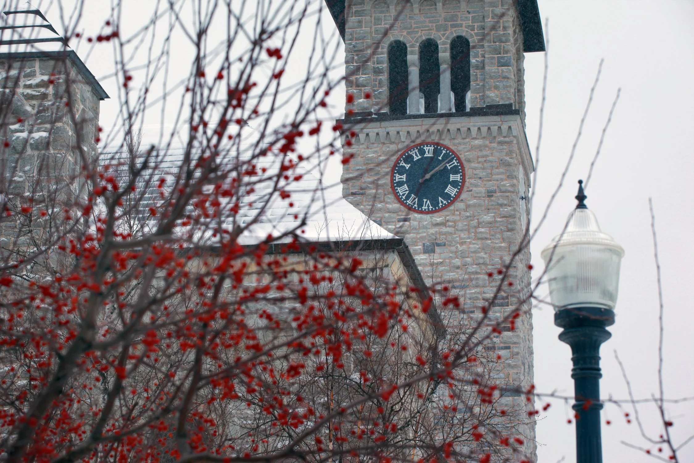 20160112 - Snowman-and-Winter-Shots-25.jpg