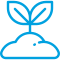 sprout (1).png