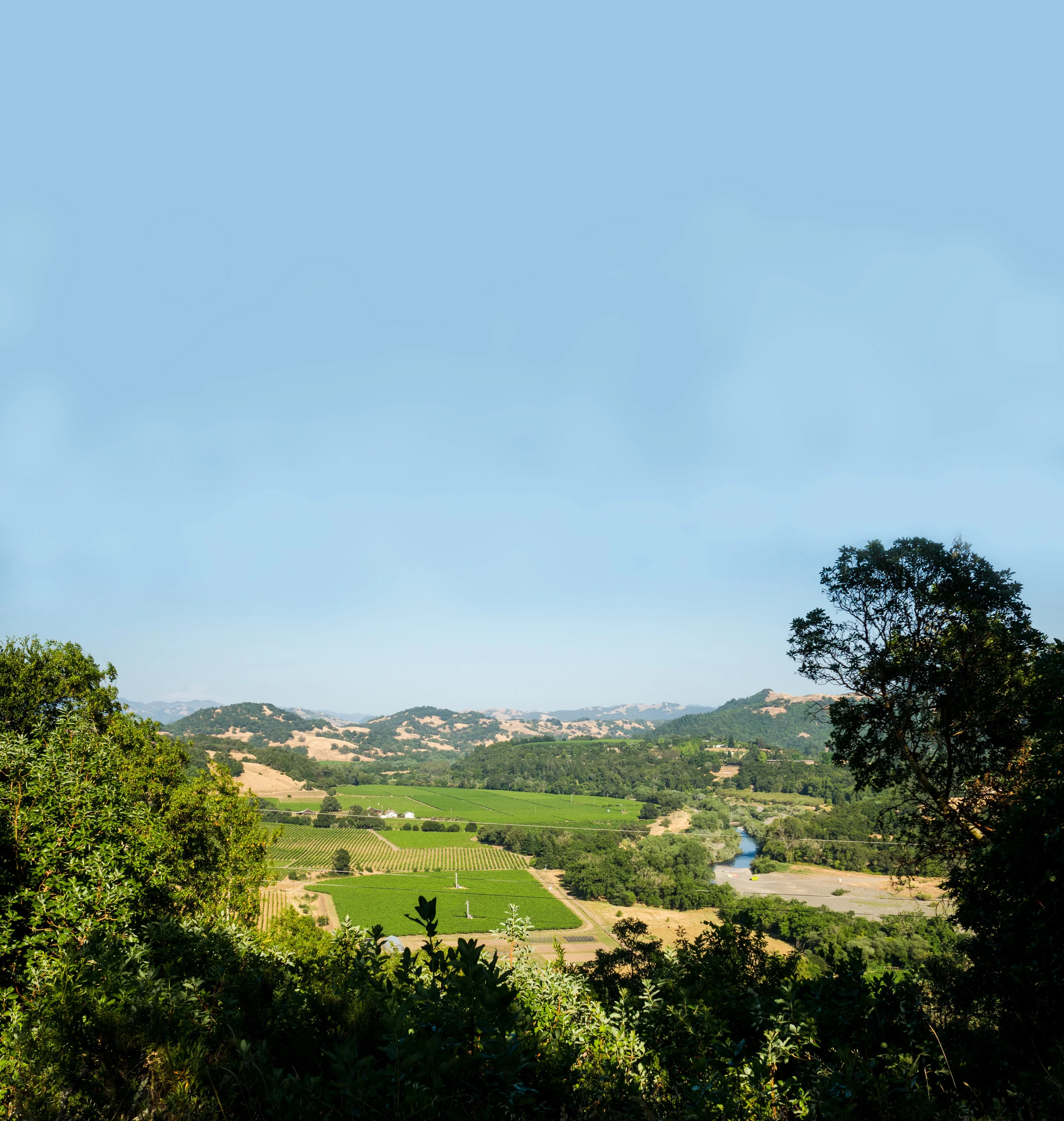 RussianRiverValley_Moresky.jpg