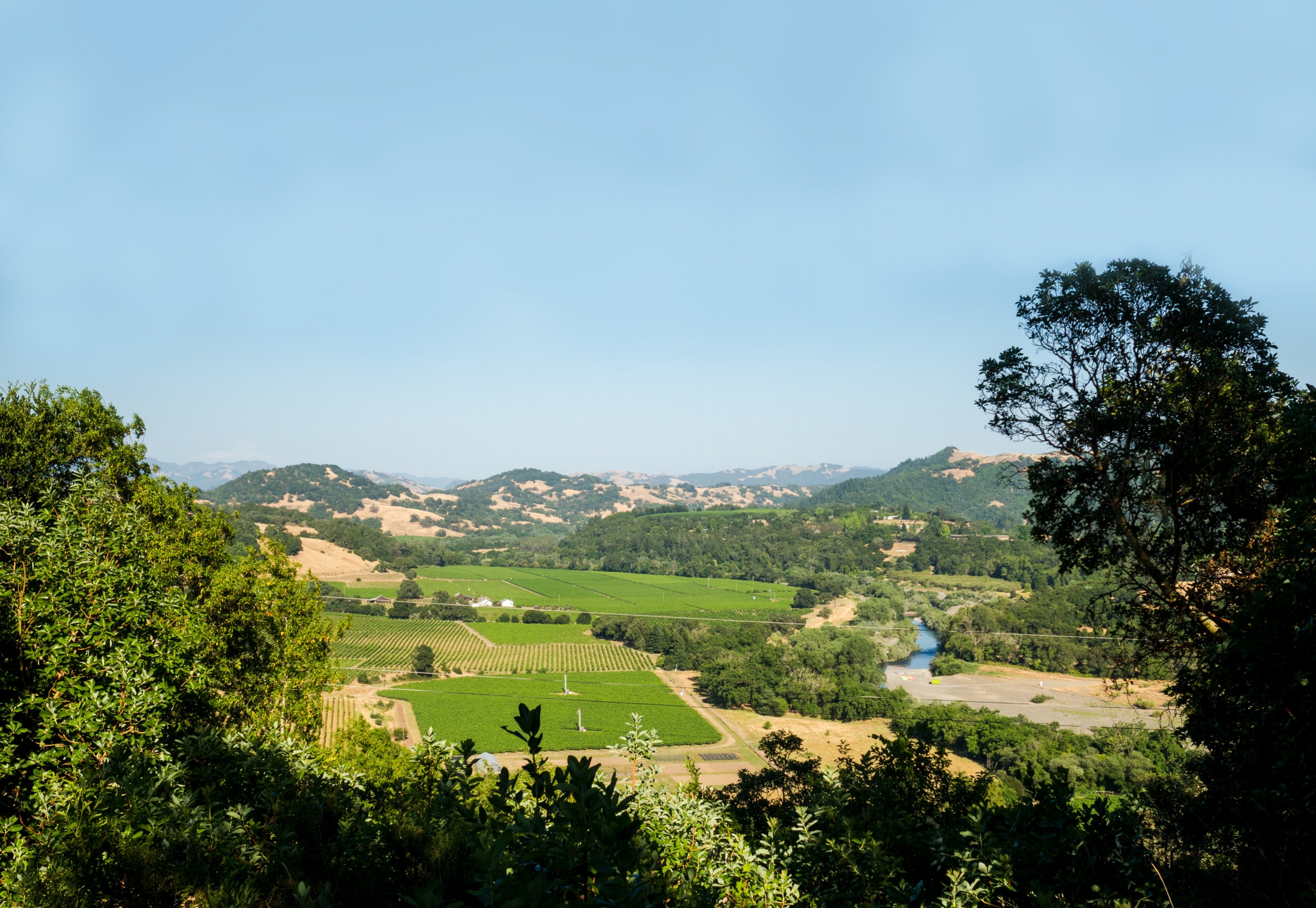 RussianRiverValley_Moresky.jpg
