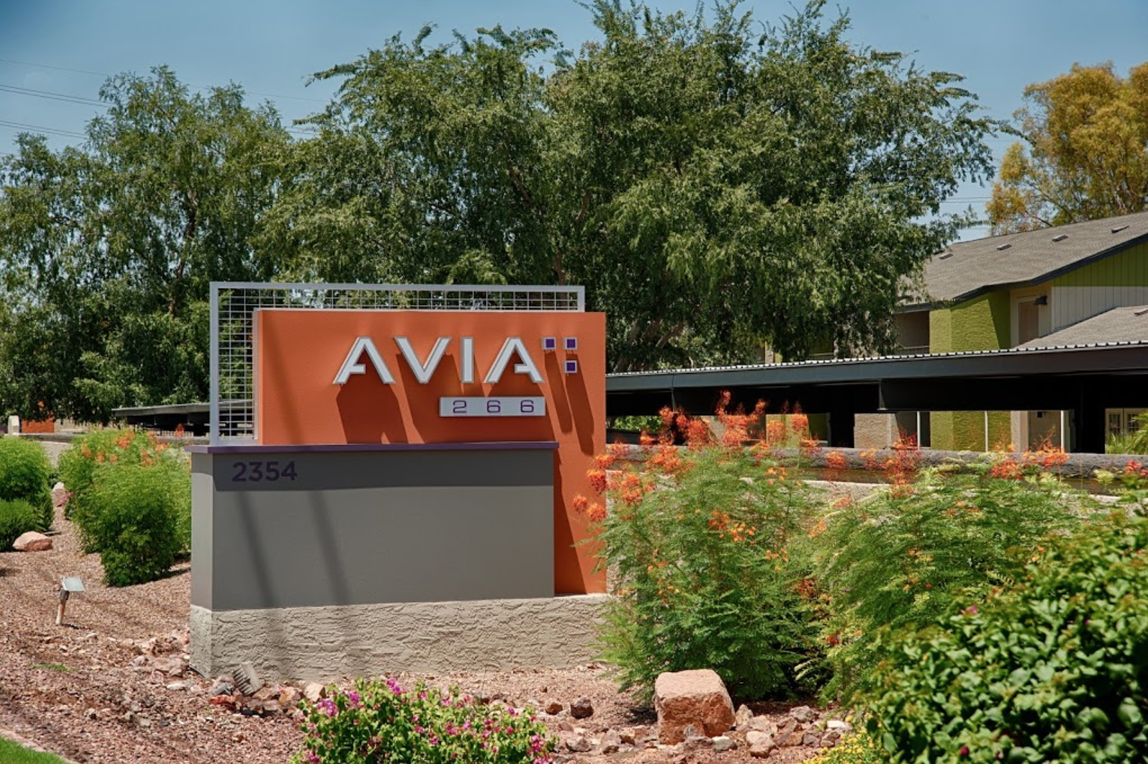 avia7.png