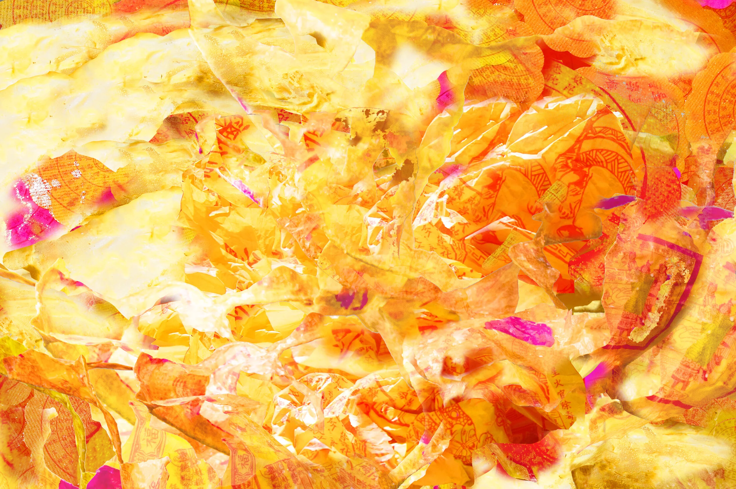 collage4.jpg