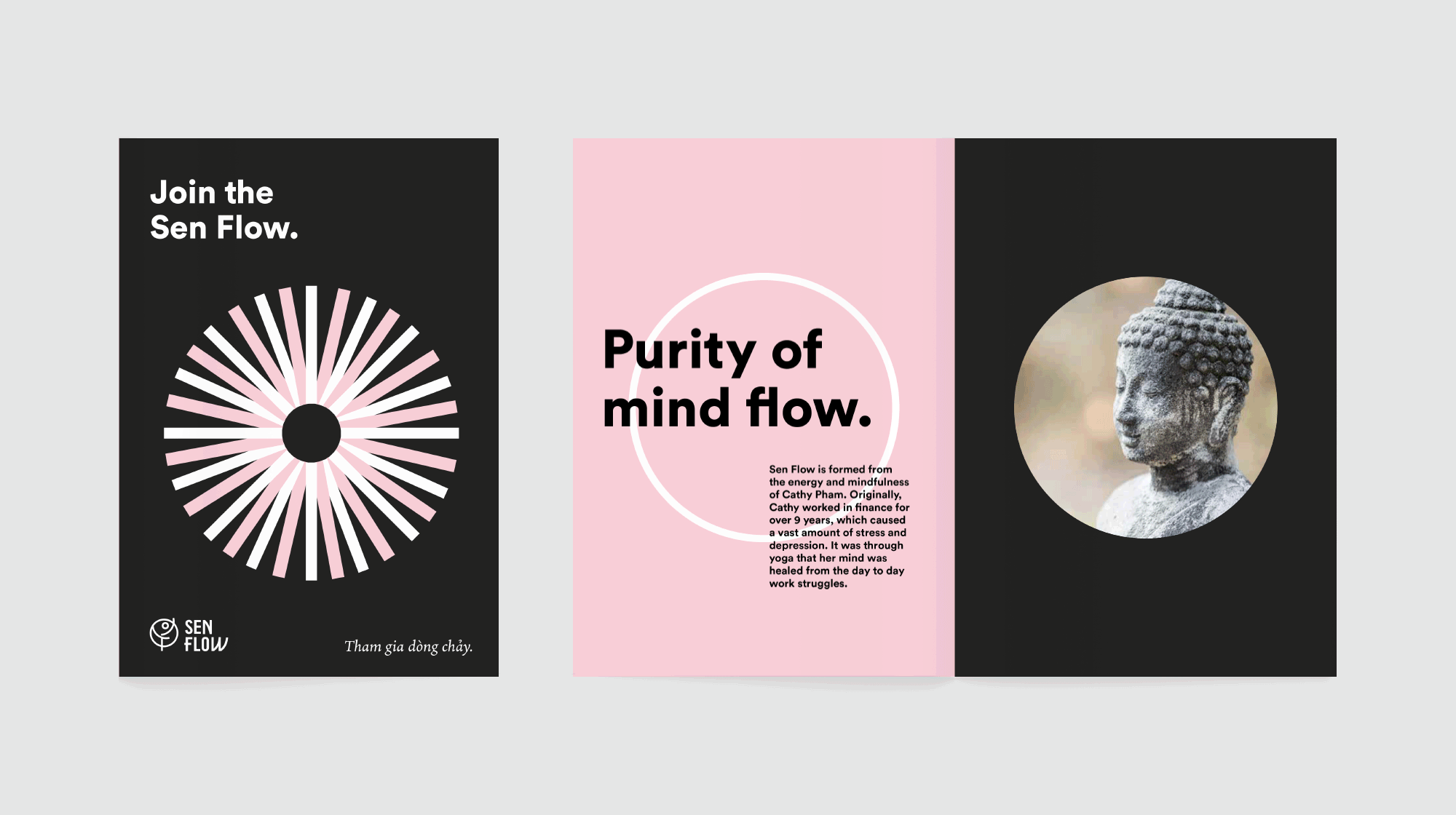 Sen-Flow-Brochure.gif