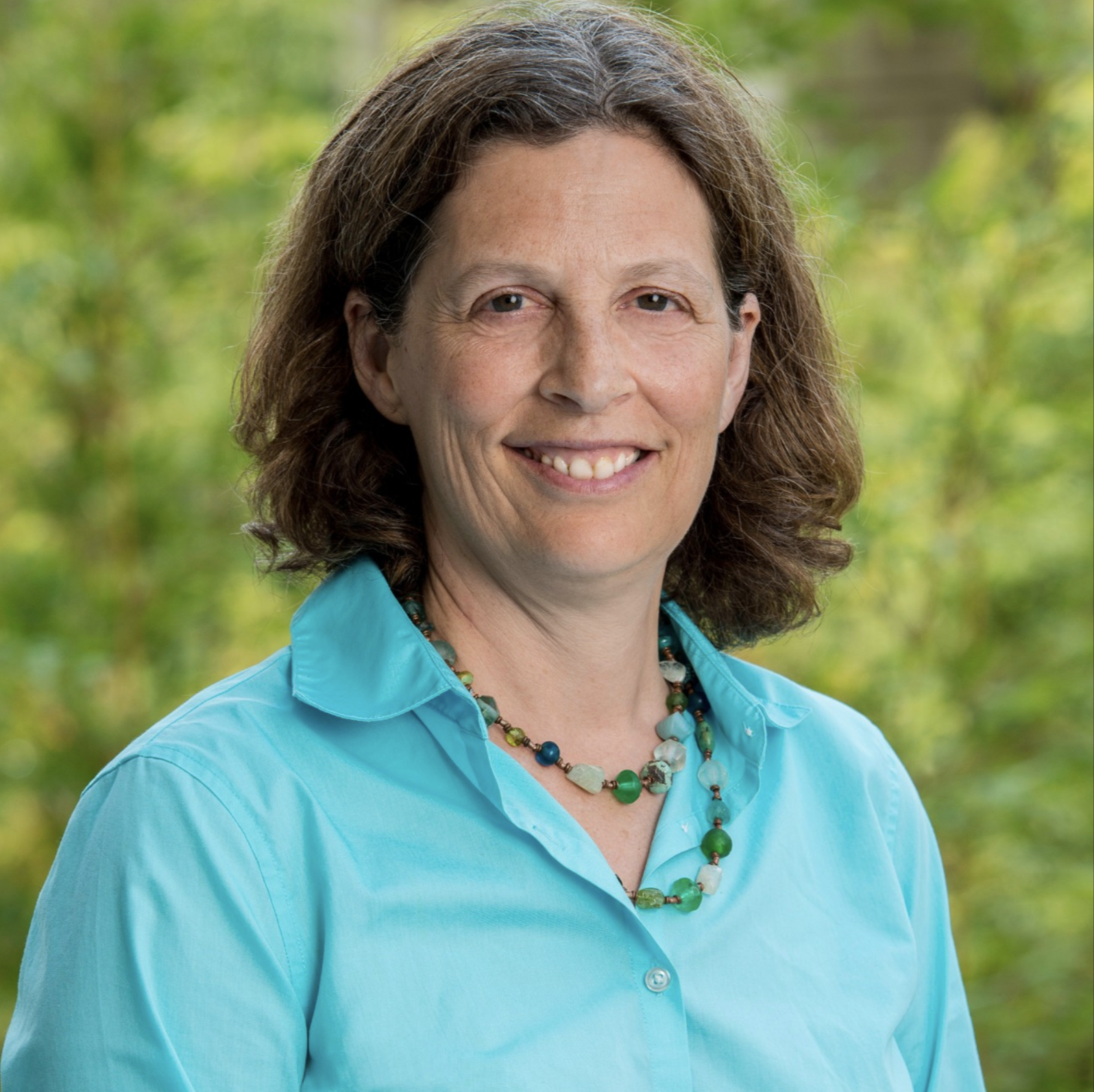 Dr. Julie Parsonnet, Professor of Medicine and of Health Research and Policy