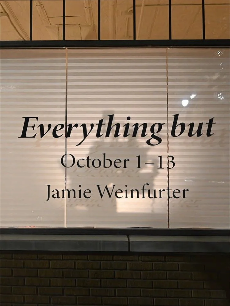 A big congrats to Jamie Weinfurter on the opening of her solo show &ldquo;Everything but&rdquo; at the One Oh Six Gallery! In case you missed it, we&rsquo;ll have open hours from 10&ndash;4 this Thursday and special open hours on Saturday from 1&ndas