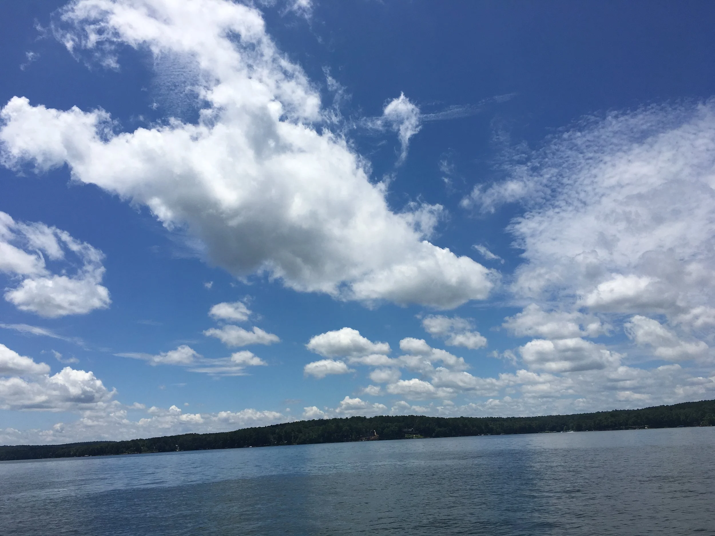2016-07-17 13.11.34.jpg