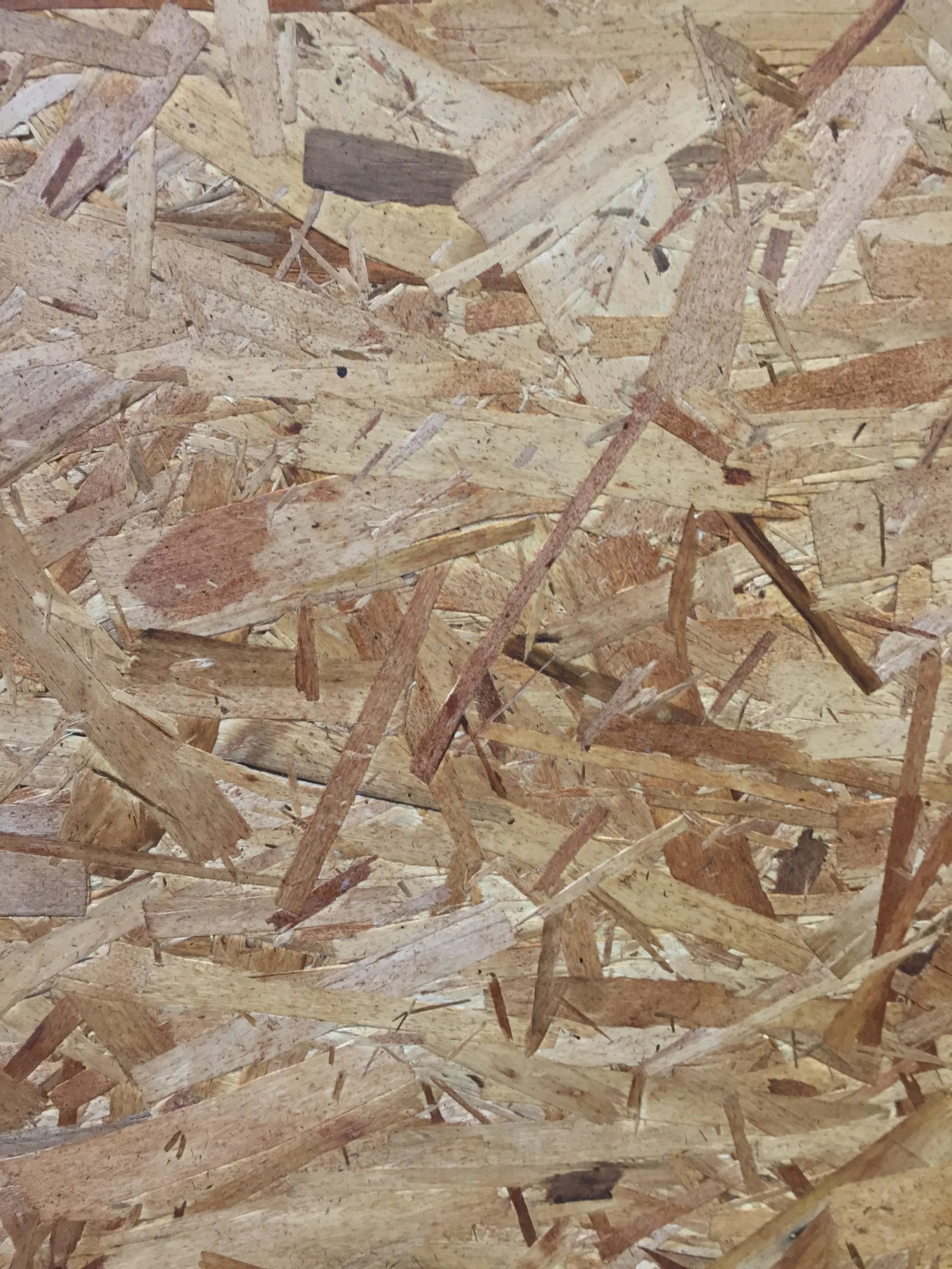 2015-12-17 13.41.55 HDR.jpg