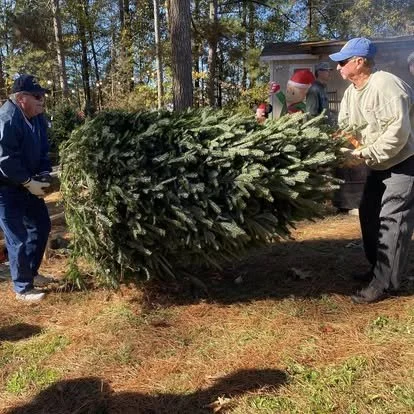 tree handling.jpg