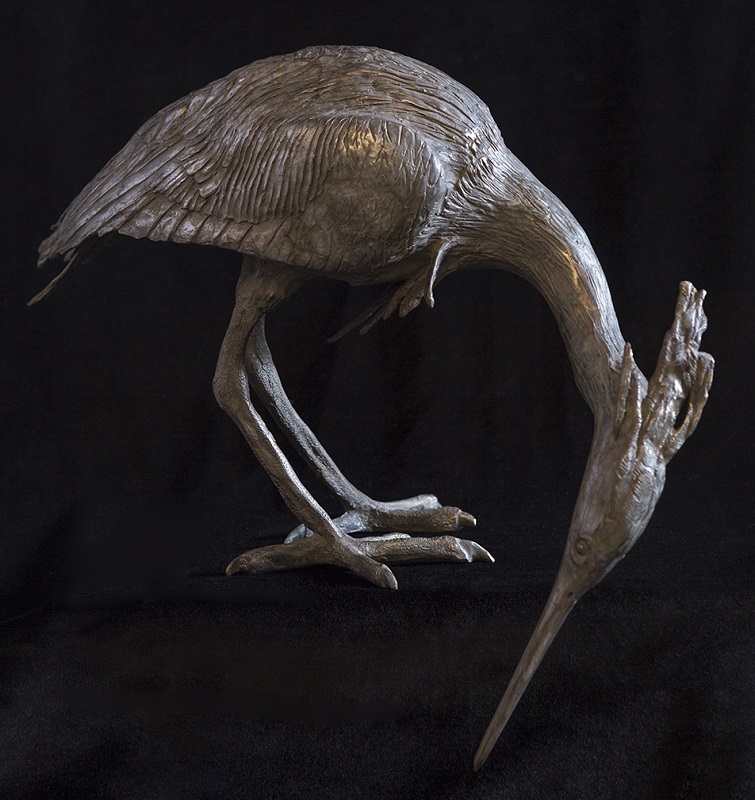 Library Heron