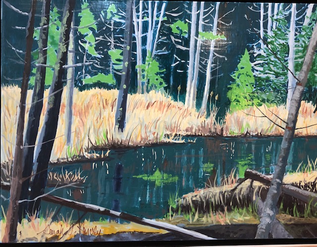A Marsh in the Woods
