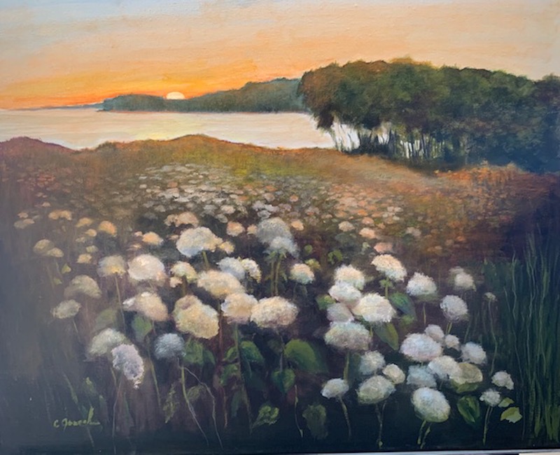 Ocean Garden