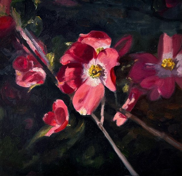Flowering Dogwood 10x10 Oil
