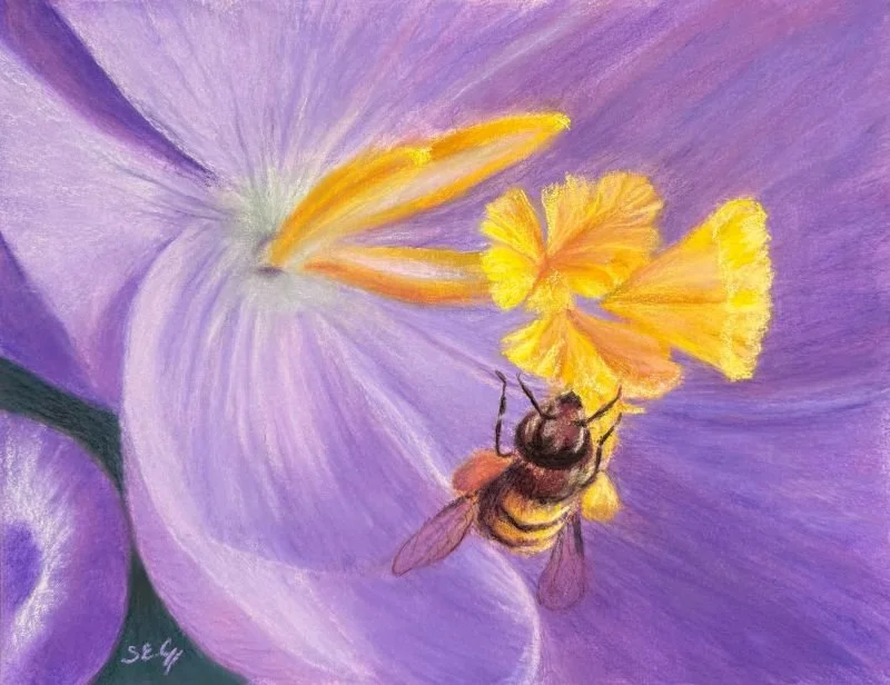 Nectar Lover