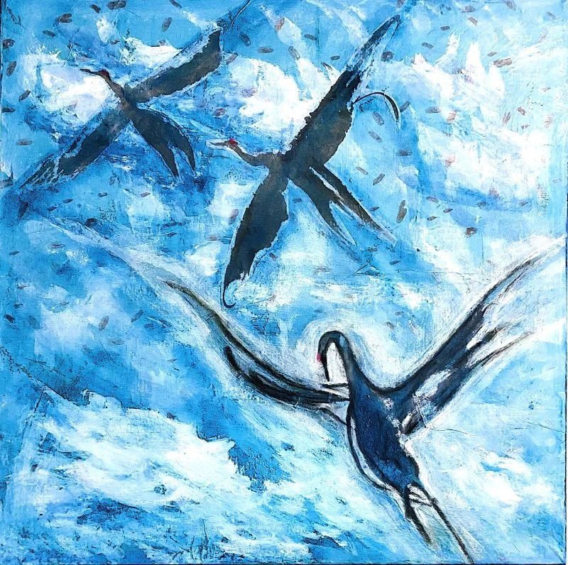 Soaring