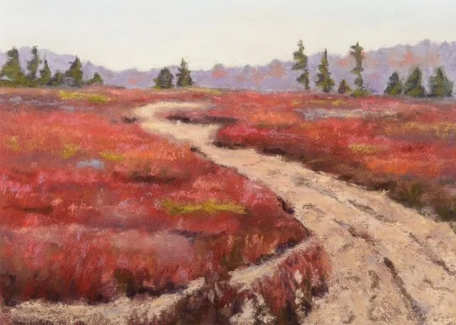 Blueberry Barrens 2 