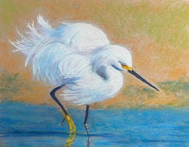 Snowy Egret